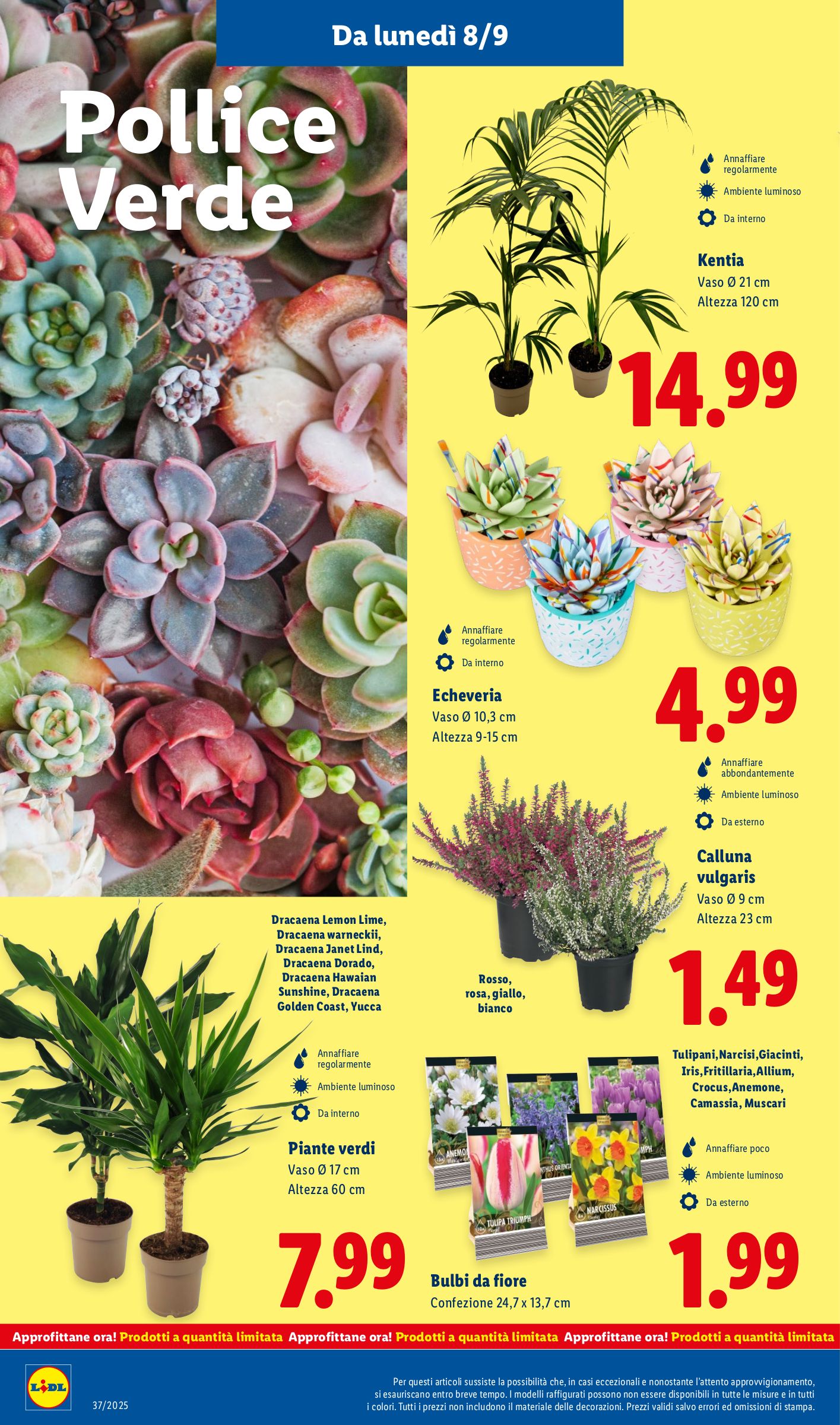 lidl - Volantino Lidl valido dal 08/09 al 14/09 - page: 28 lidl - Volantino Lidl valido dal 08/09 al 14/09 - page: 28