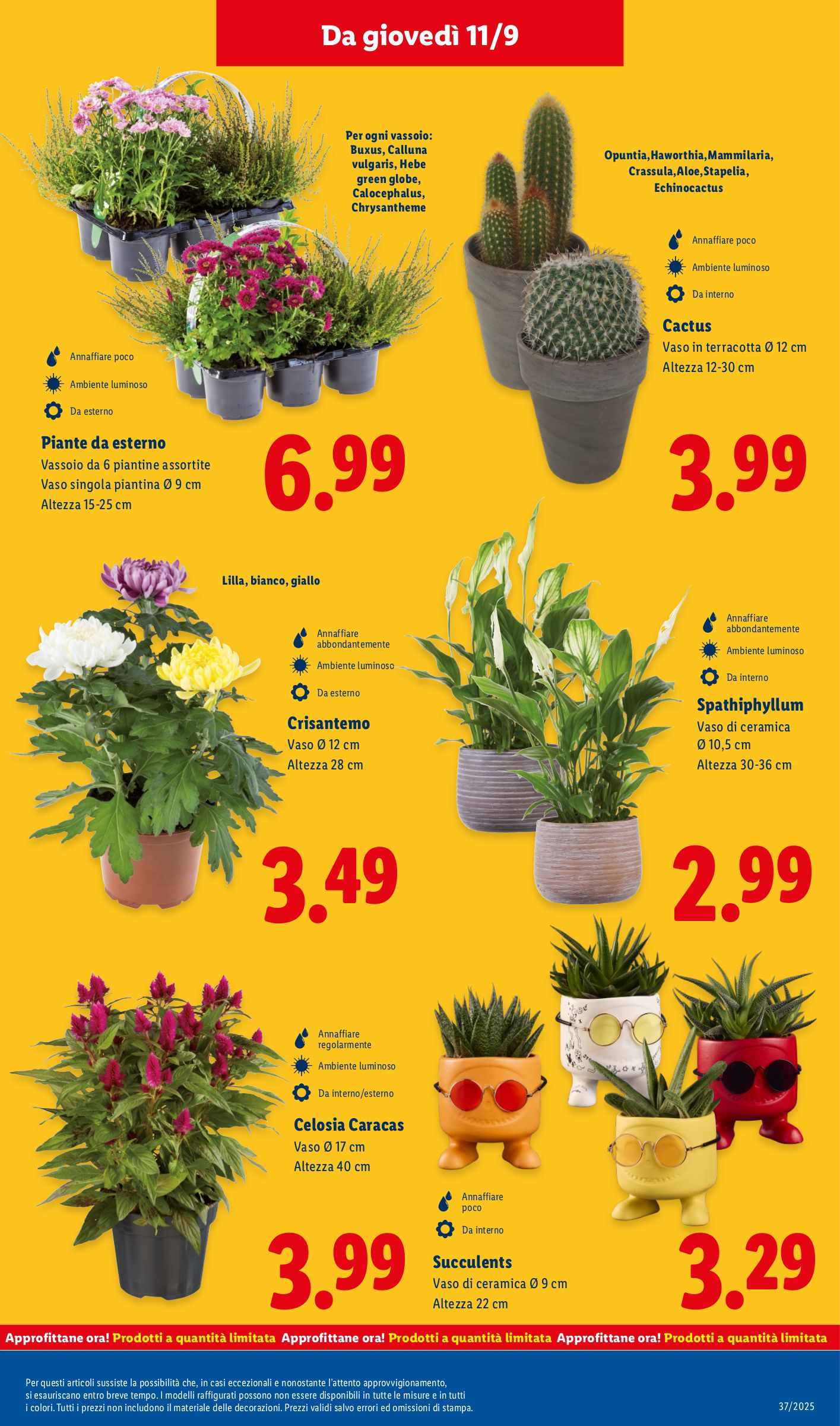 lidl - Volantino Lidl valido dal 08/09 al 14/09 - page: 29 lidl - Volantino Lidl valido dal 08/09 al 14/09 - page: 29
