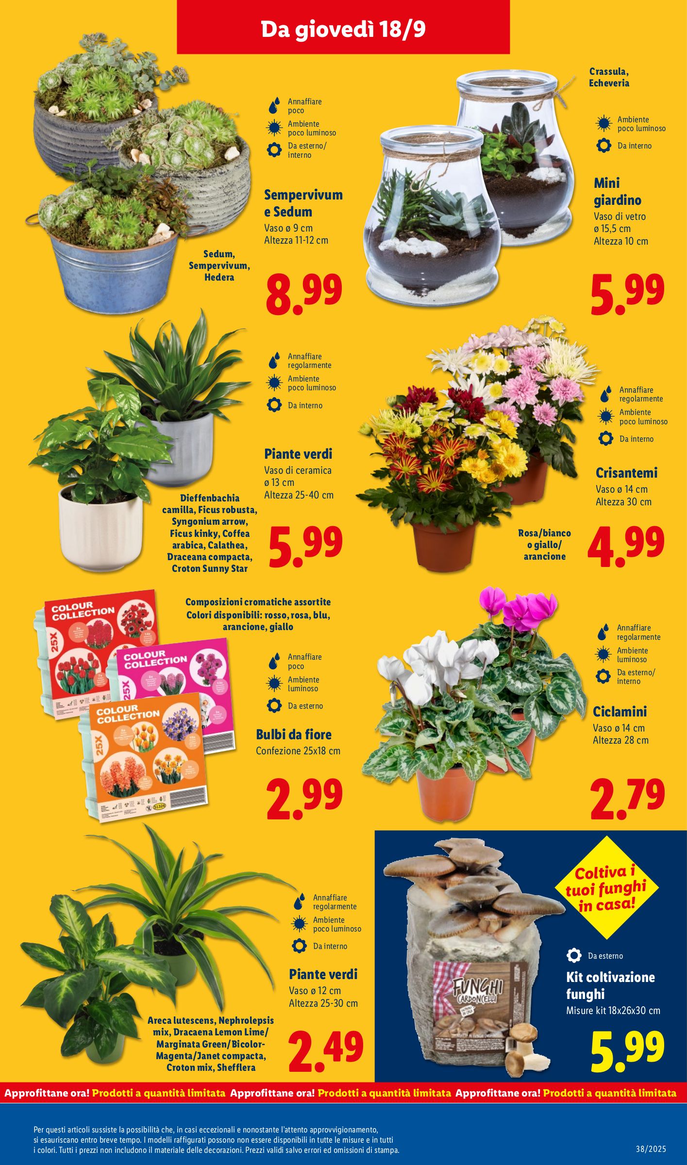 lidl - Volantino Lidl valido dal 15/09 al 21/09 - page: 47 lidl - Volantino Lidl valido dal 15/09 al 21/09 - page: 47