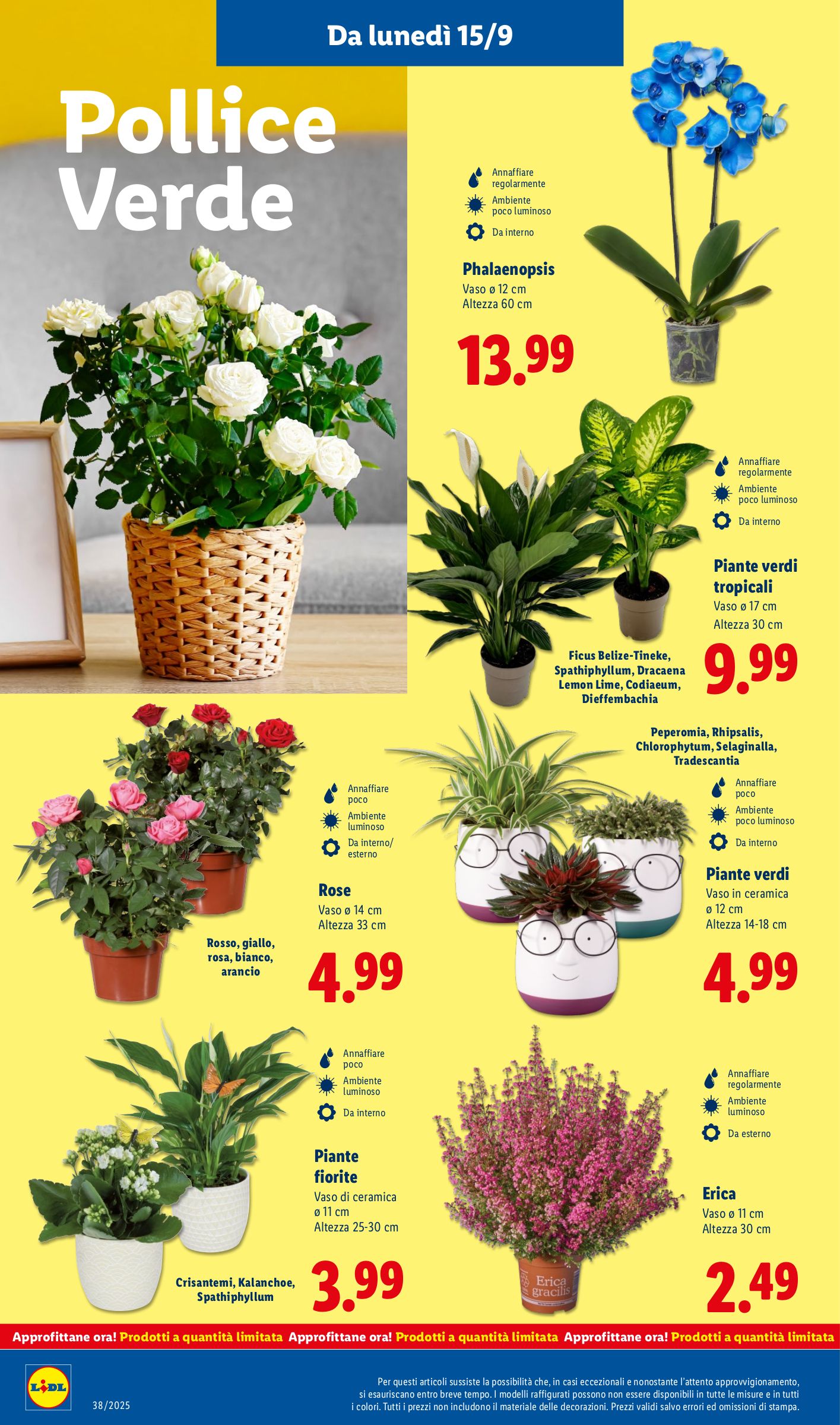 lidl - Volantino Lidl valido dal 15/09 al 21/09 - page: 46 lidl - Volantino Lidl valido dal 15/09 al 21/09 - page: 46