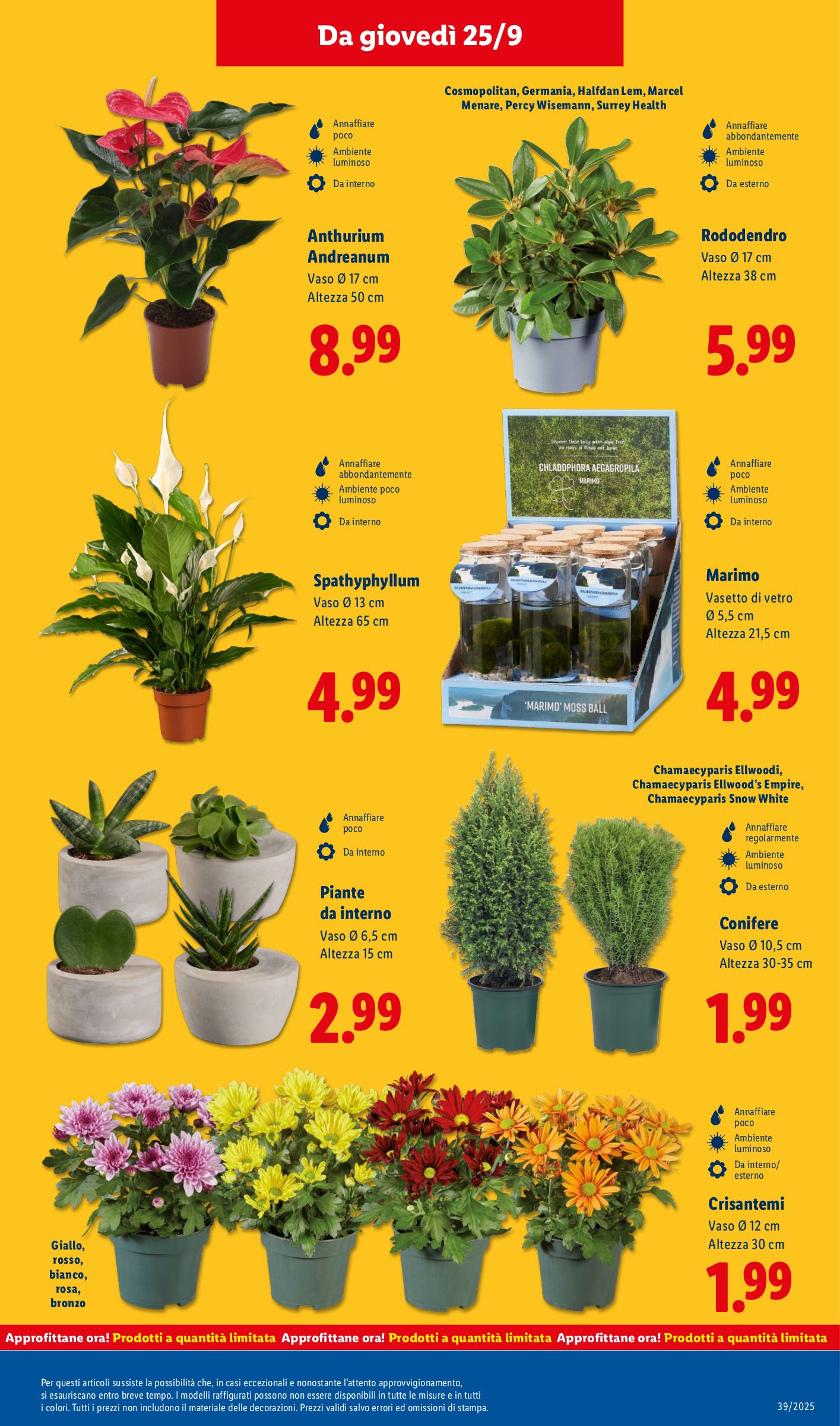 lidl - Volantino Lidl valido dal 22/09 al 28/09 - page: 43