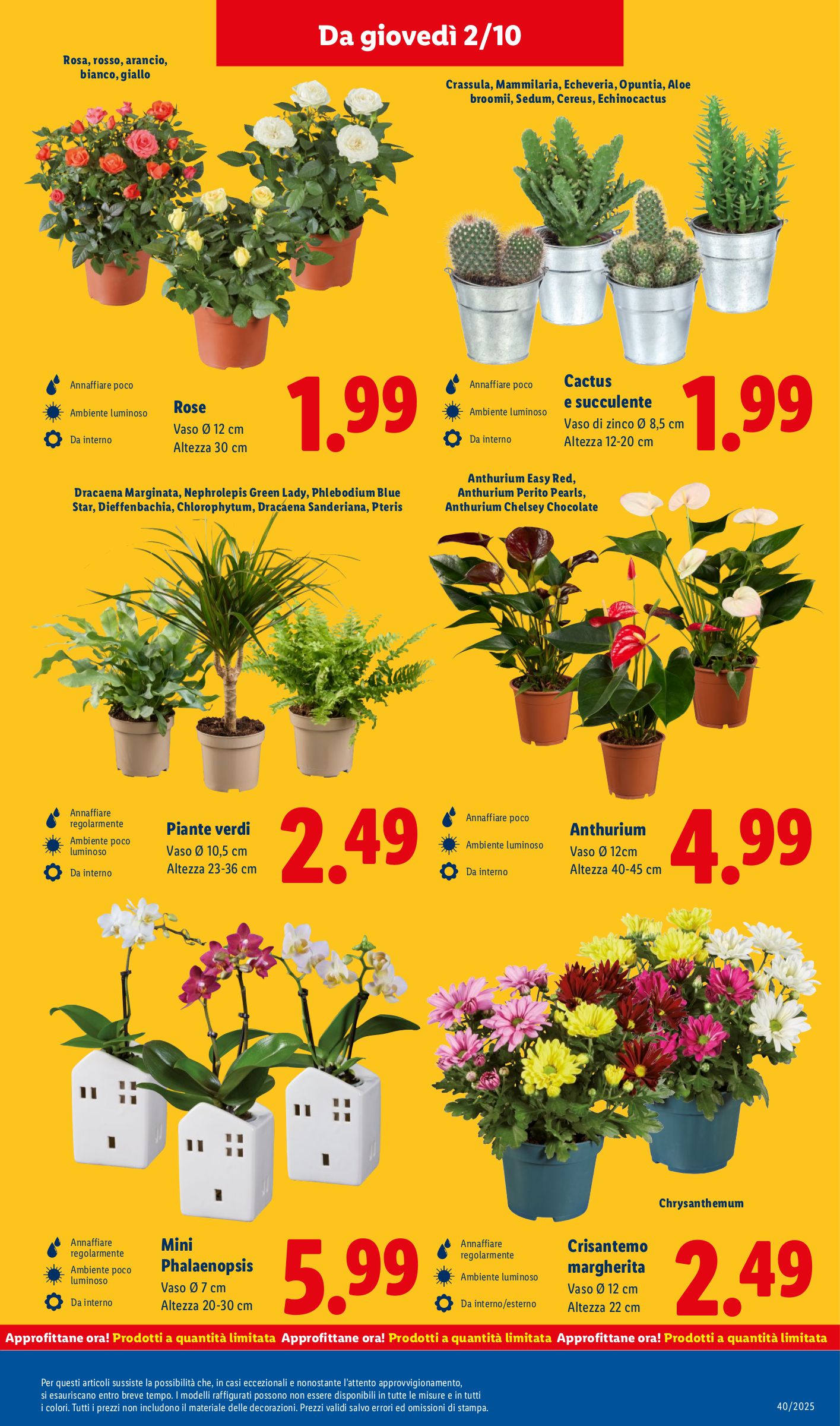 lidl - Volantino Lidl valido dal 29/09 al 05/10 - page: 31 lidl - Volantino Lidl valido dal 29/09 al 05/10 - page: 31