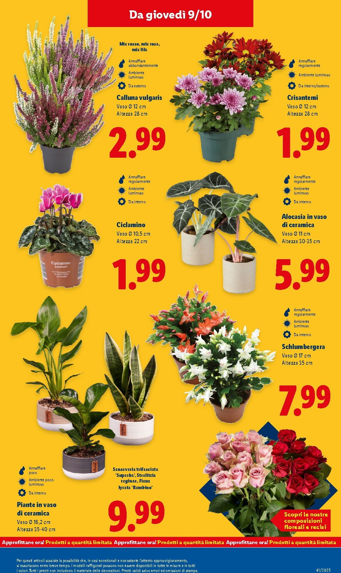 lidl - Volantino Lidl valido dal 06/10 al 12/10 - page: 45 lidl - Volantino Lidl valido dal 06/10 al 12/10 - page: 45