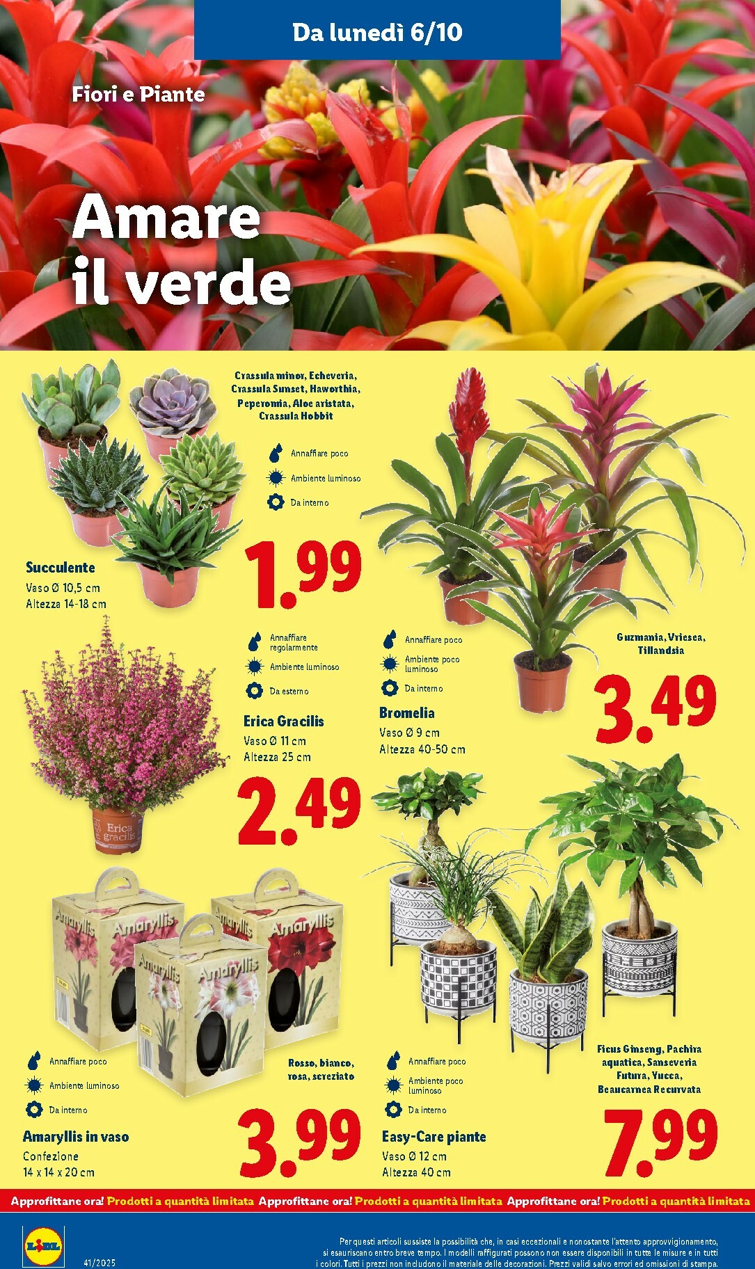 lidl - Volantino Lidl valido dal 06/10 al 12/10 - page: 44 lidl - Volantino Lidl valido dal 06/10 al 12/10 - page: 44