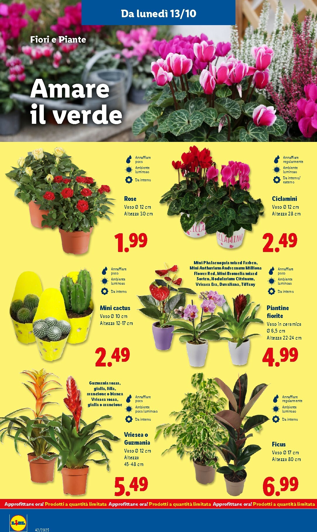 lidl - Volantino Lidl valido dal 13/10 al 19/10 - page: 44 lidl - Volantino Lidl valido dal 13/10 al 19/10 - page: 44