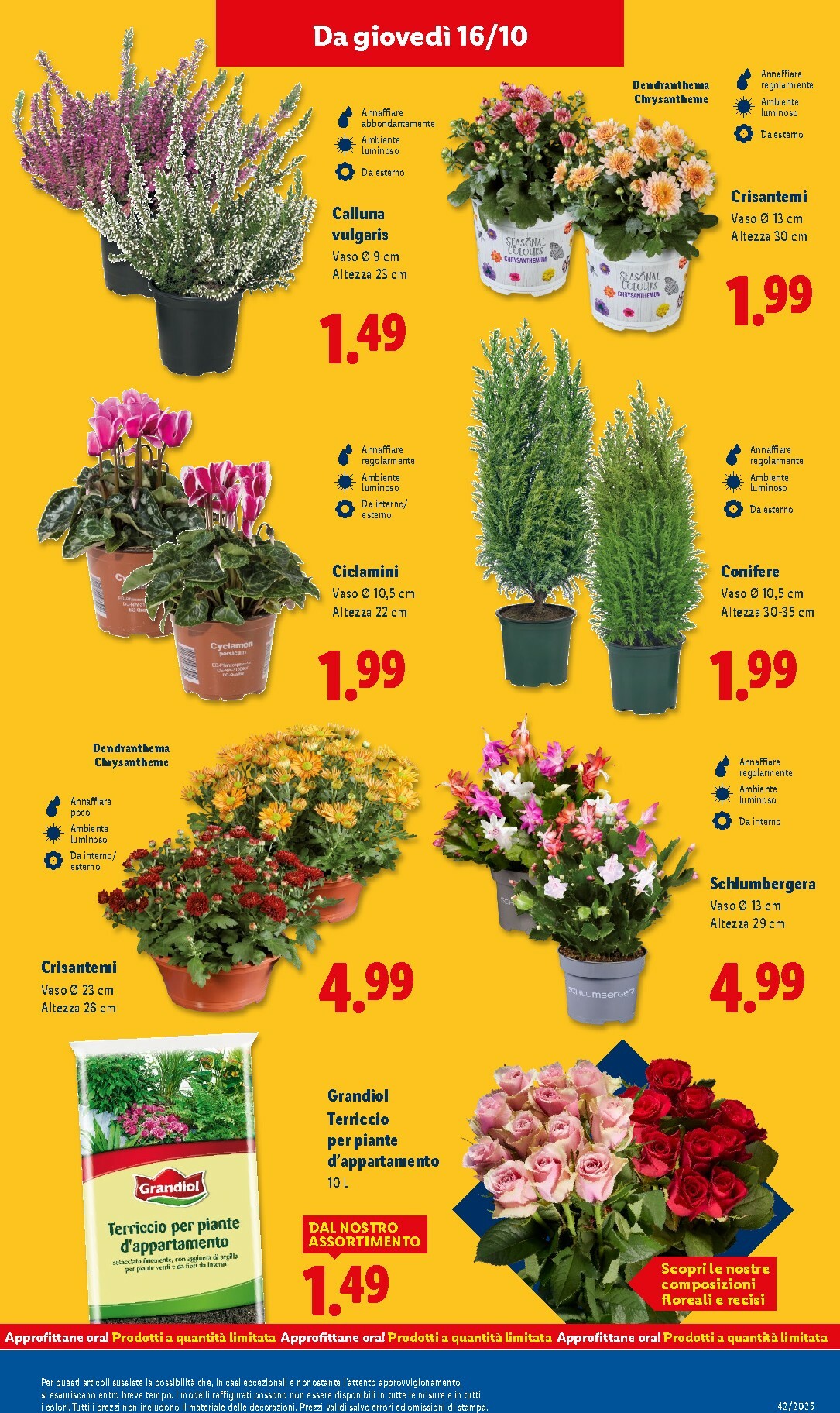 lidl - Volantino Lidl valido dal 13/10 al 19/10 - page: 45 lidl - Volantino Lidl valido dal 13/10 al 19/10 - page: 45