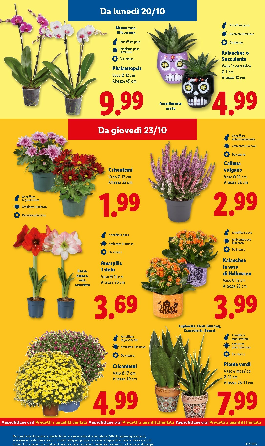 lidl - Volantino Lidl valido dal 20/10 al 26/10 - page: 41 lidl - Volantino Lidl valido dal 20/10 al 26/10 - page: 41