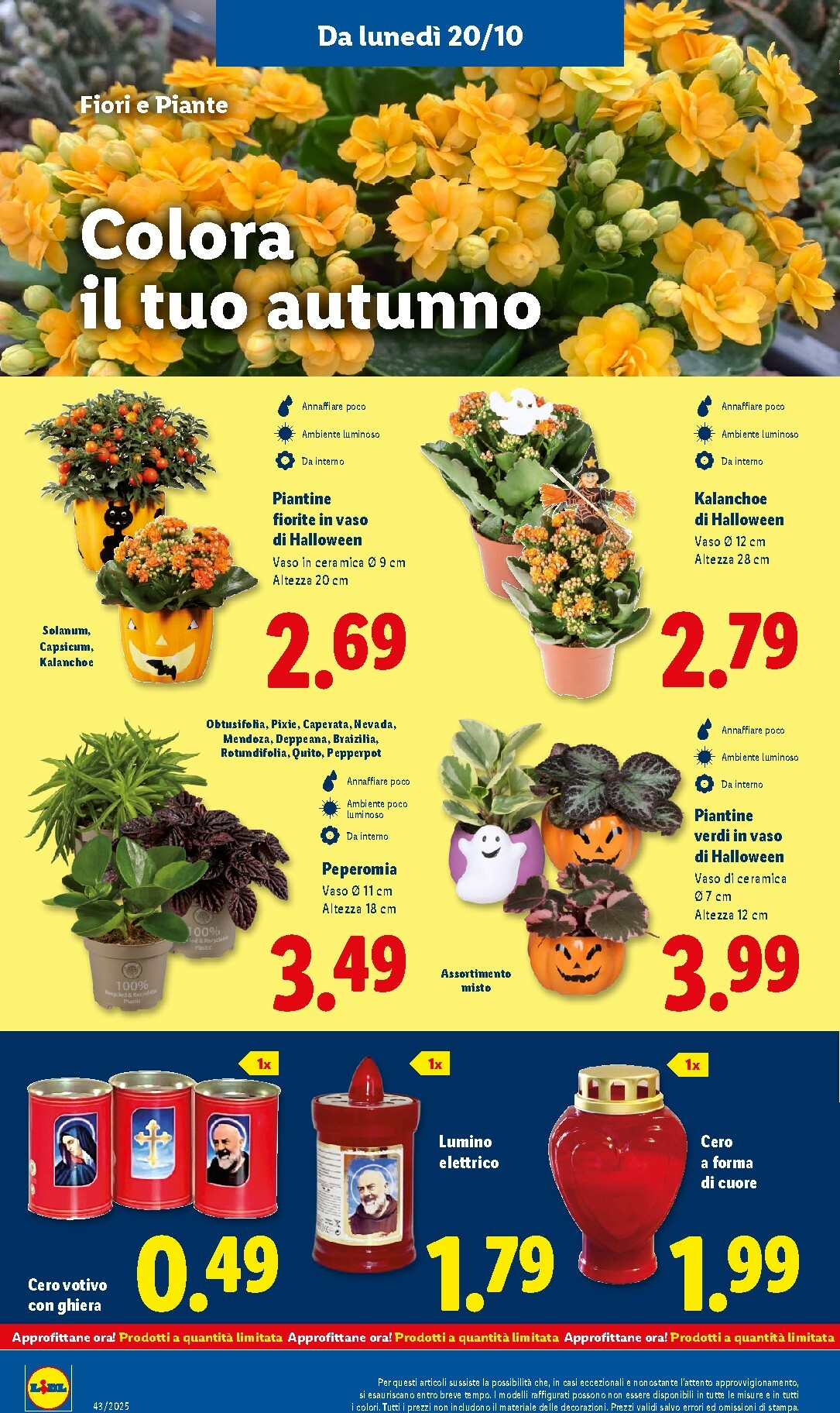 lidl - Volantino Lidl valido dal 20/10 al 26/10 - page: 40 lidl - Volantino Lidl valido dal 20/10 al 26/10 - page: 40