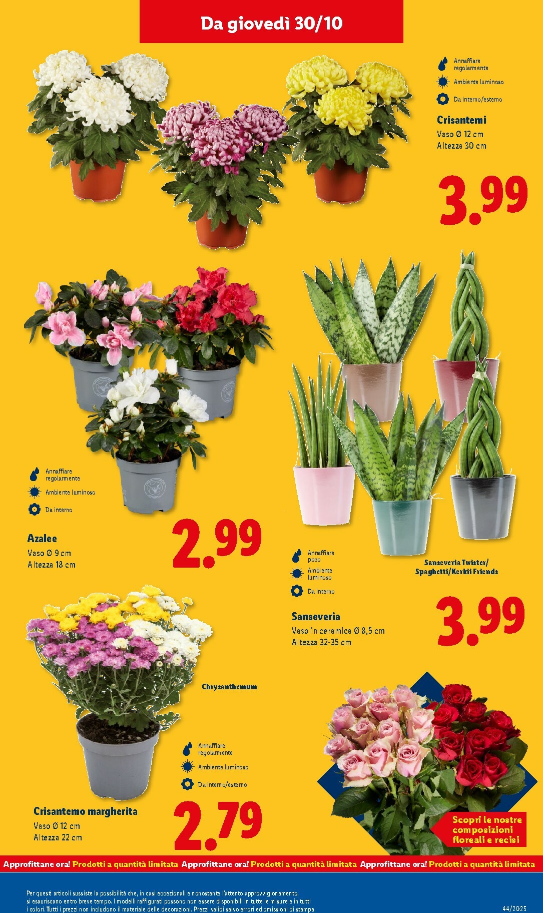 lidl - Volantino Lidl valido dal 27/10 al 02/11 - page: 43