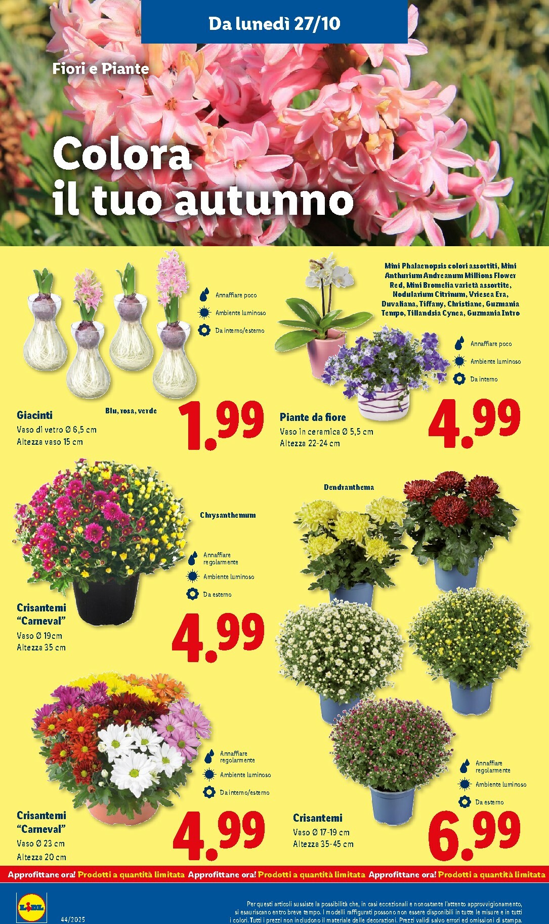 lidl - Volantino Lidl valido dal 27/10 al 02/11 - page: 42
