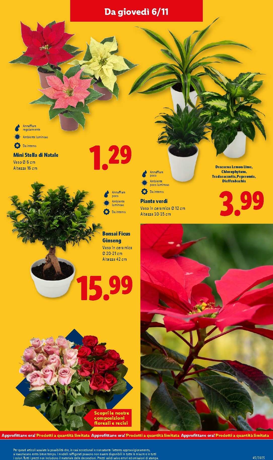 lidl - Volantino Lidl valido dal 03/11 al 09/11 - page: 43 lidl - Volantino Lidl valido dal 03/11 al 09/11 - page: 43