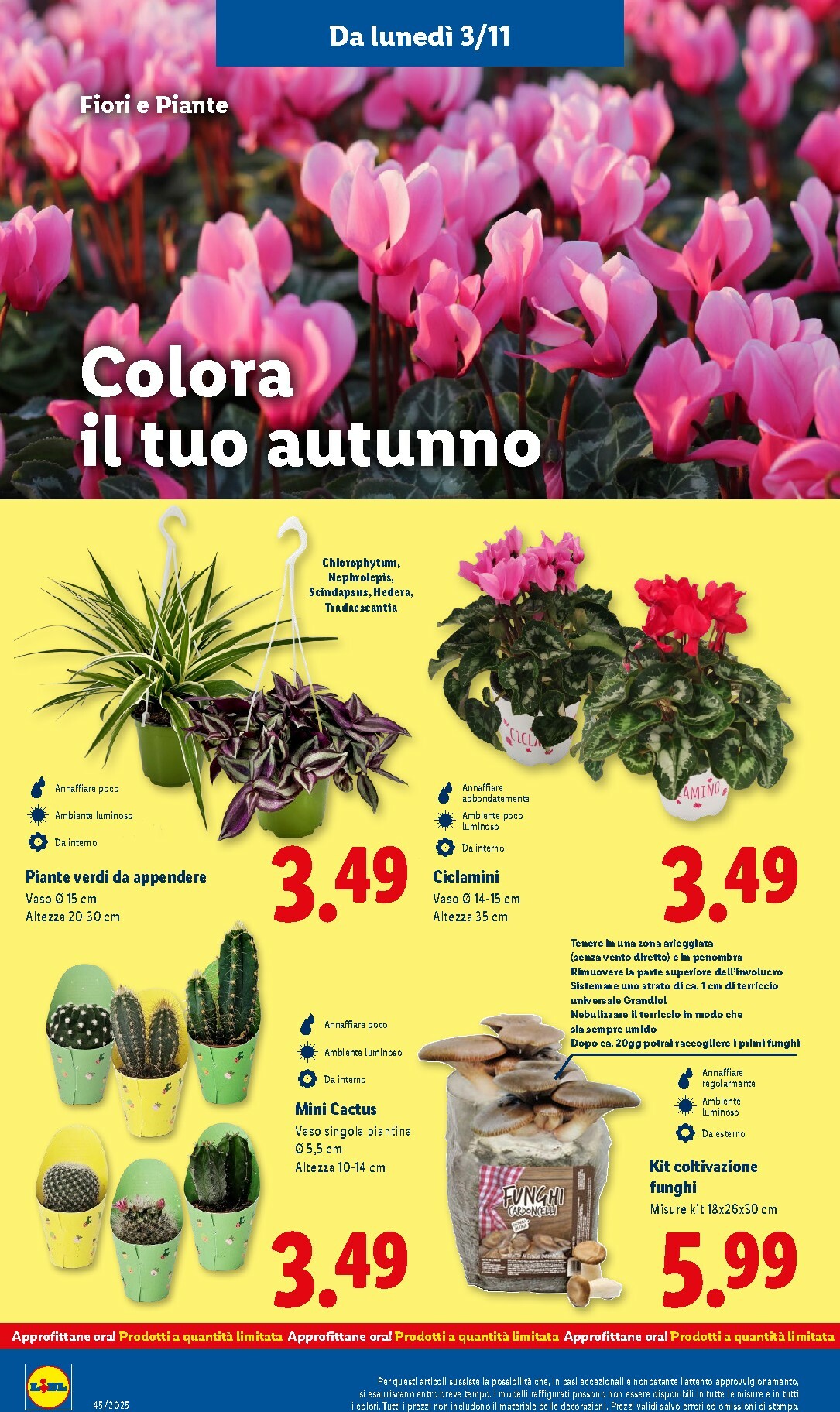 lidl - Volantino Lidl valido dal 03/11 al 09/11 - page: 42 lidl - Volantino Lidl valido dal 03/11 al 09/11 - page: 42