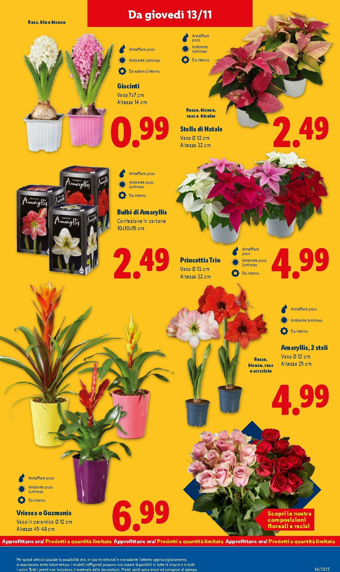 lidl - Volantino Lidl valido dal 10/11 al 16/11 - page: 35