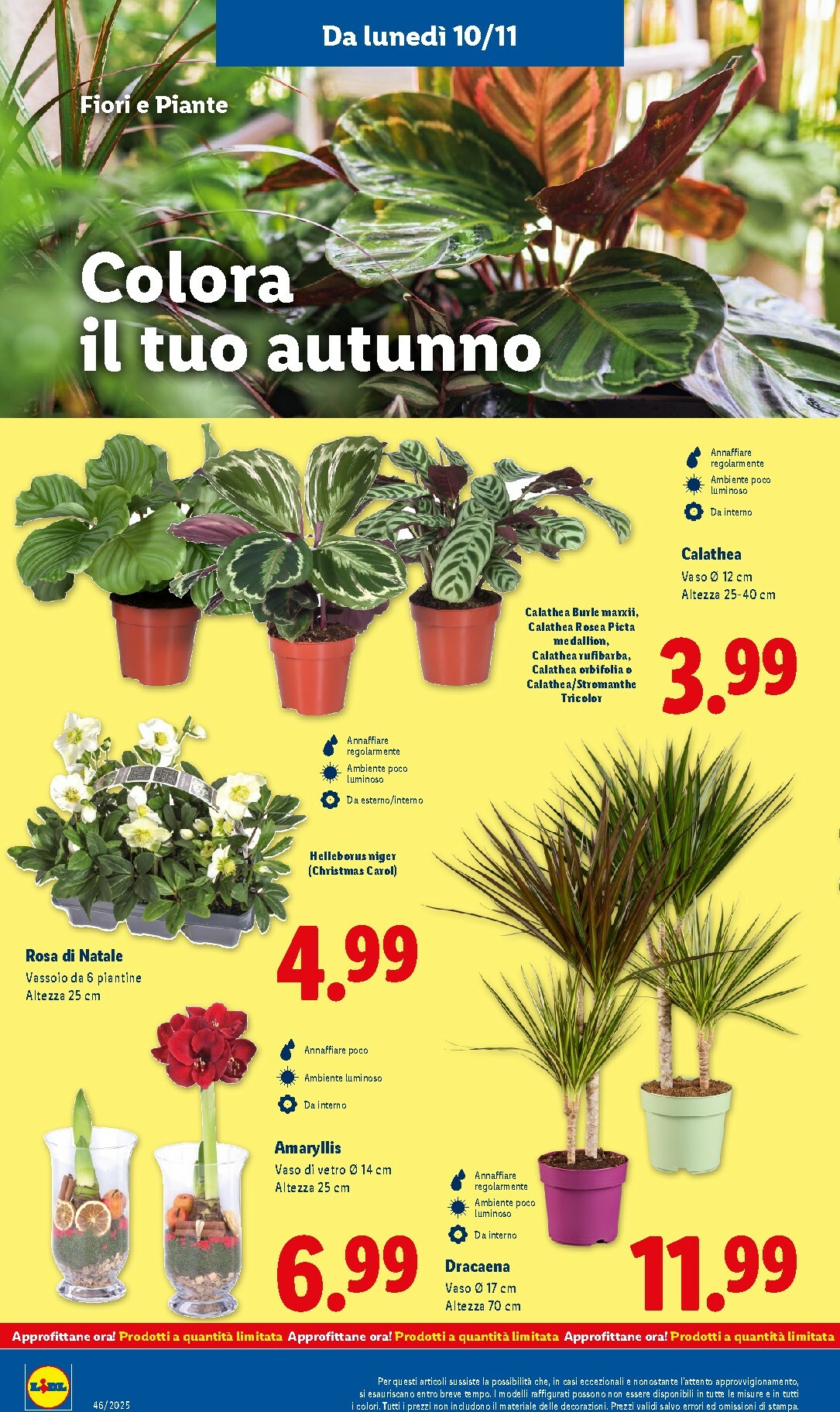lidl - Volantino Lidl valido dal 10/11 al 16/11 - page: 34