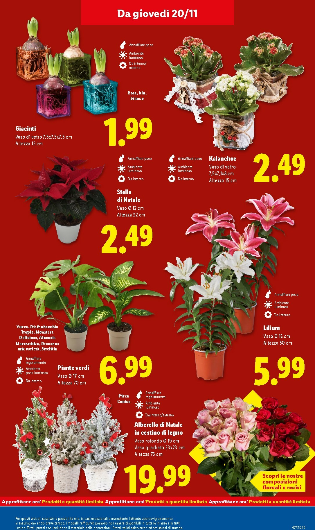 lidl - Volantino Lidl valido dal 17/11 al 23/11 - page: 44