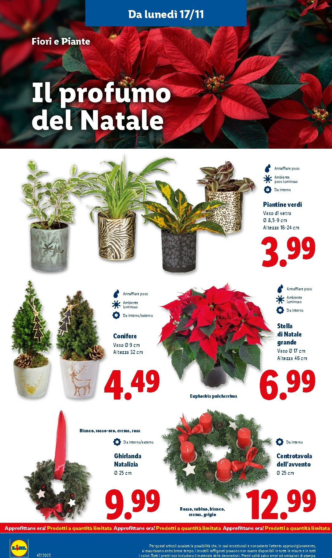 lidl - Volantino Lidl valido dal 17/11 al 23/11 - page: 43