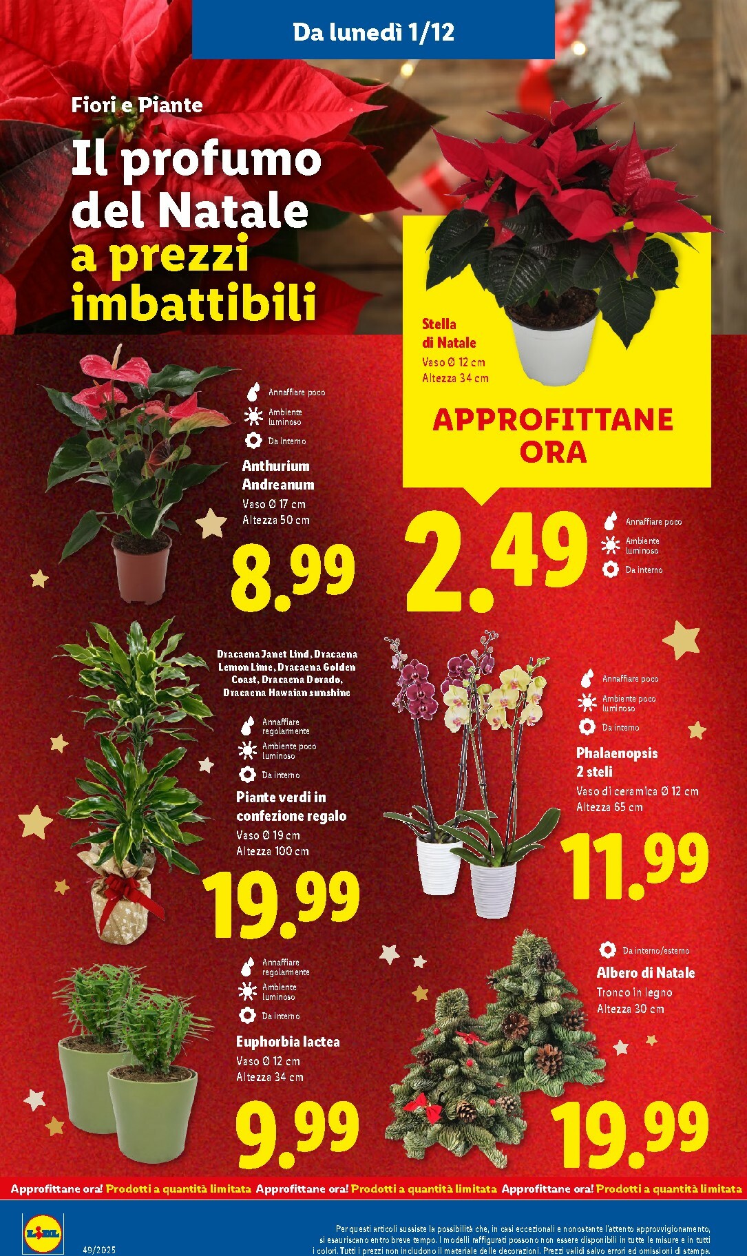 lidl - Volantino Lidl valido dal 01/12 al 07/12 - page: 46