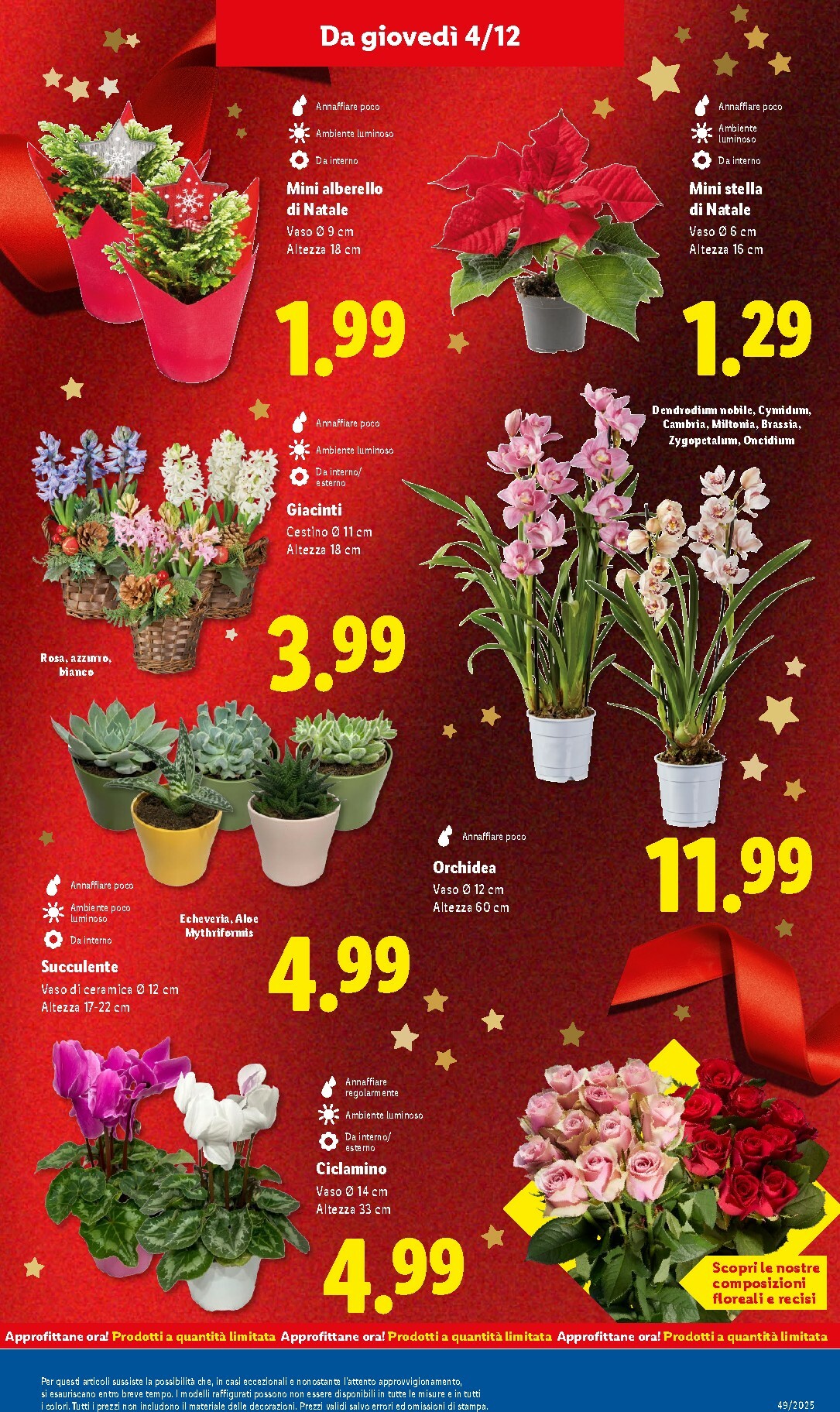 lidl - Volantino Lidl valido dal 01/12 al 07/12 - page: 47