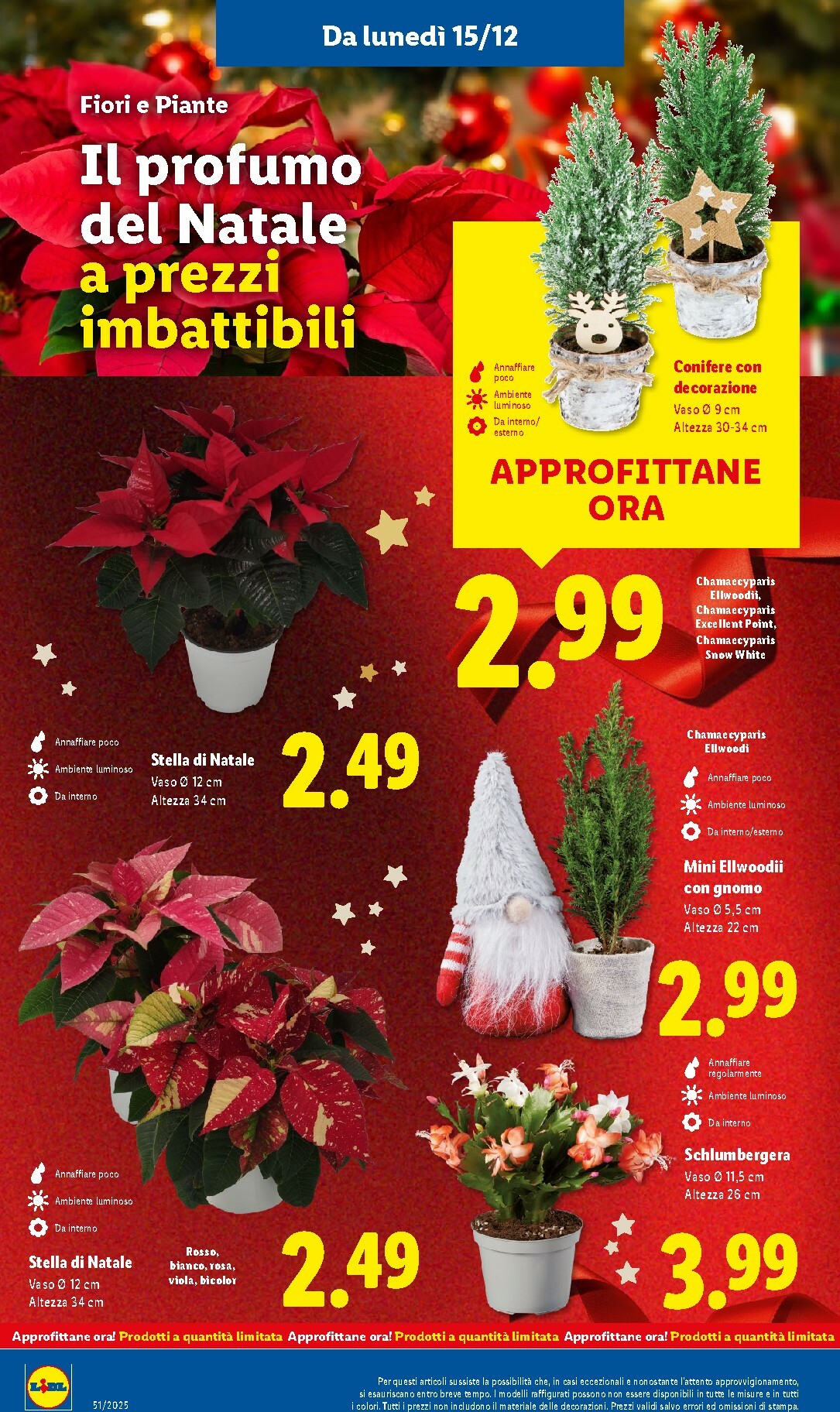 lidl - Volantino Lidl valido dal 15/12 al 21/12 - page: 32