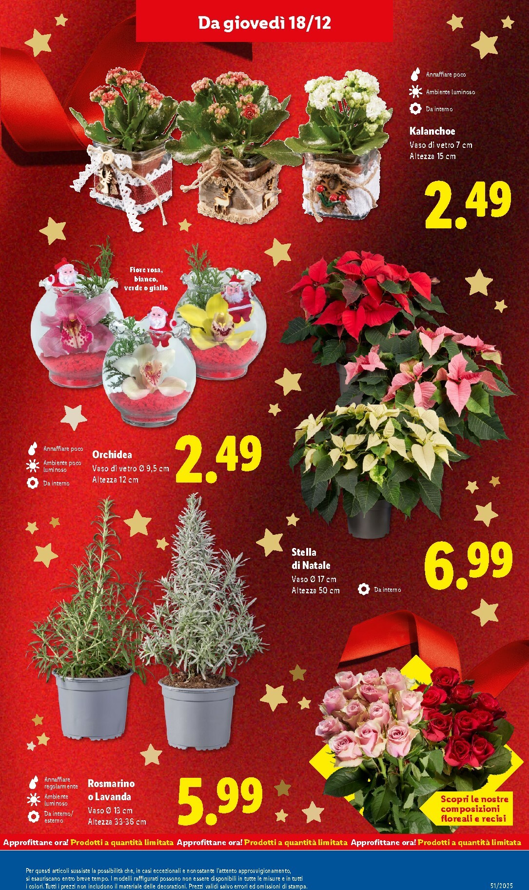 lidl - Volantino Lidl valido dal 15/12 al 21/12 - page: 33