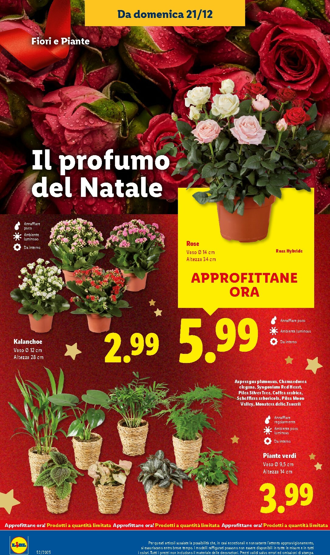 lidl - Volantino Lidl valido dal 21/12 al 28/12 - page: 40