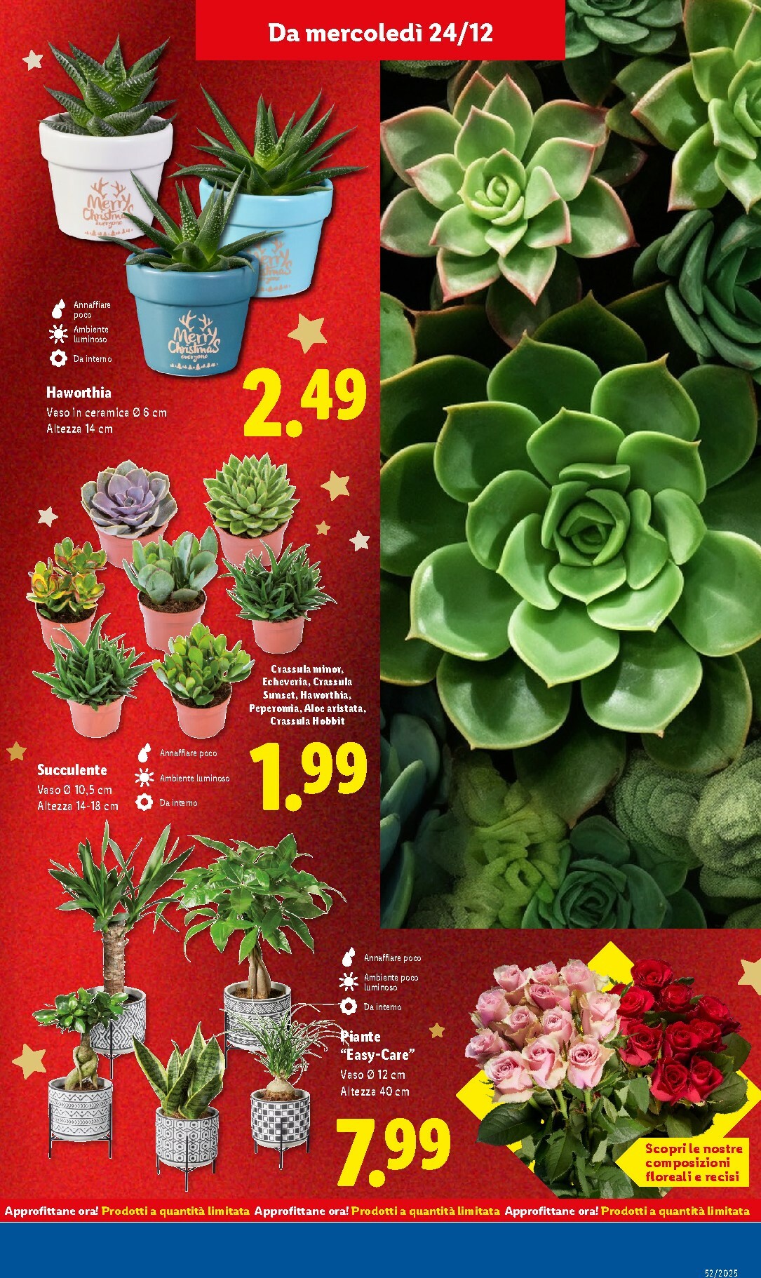 lidl - Volantino Lidl valido dal 21/12 al 28/12 - page: 41