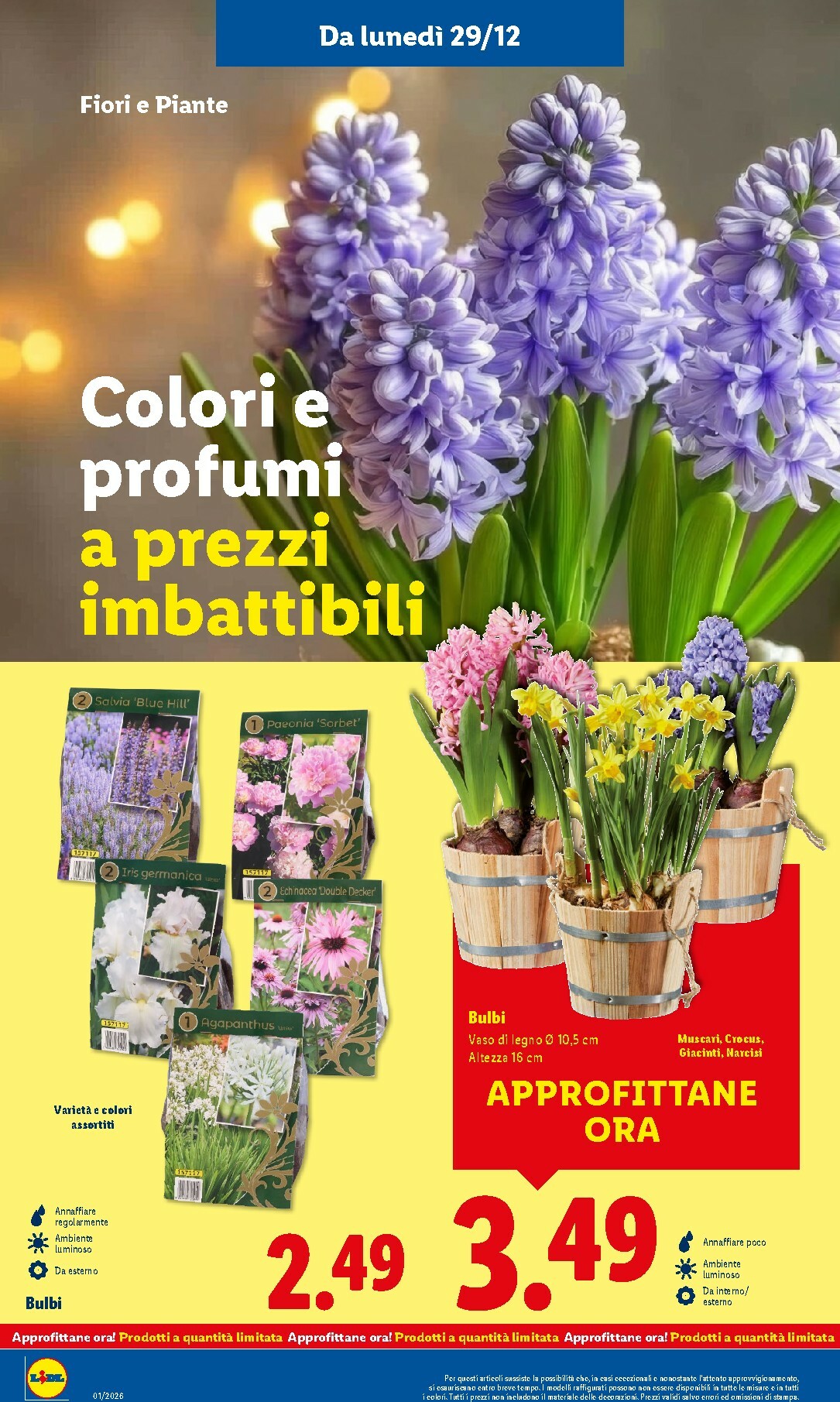 lidl - Volantino Lidl valido dal 29/12 al 04/01 - page: 36