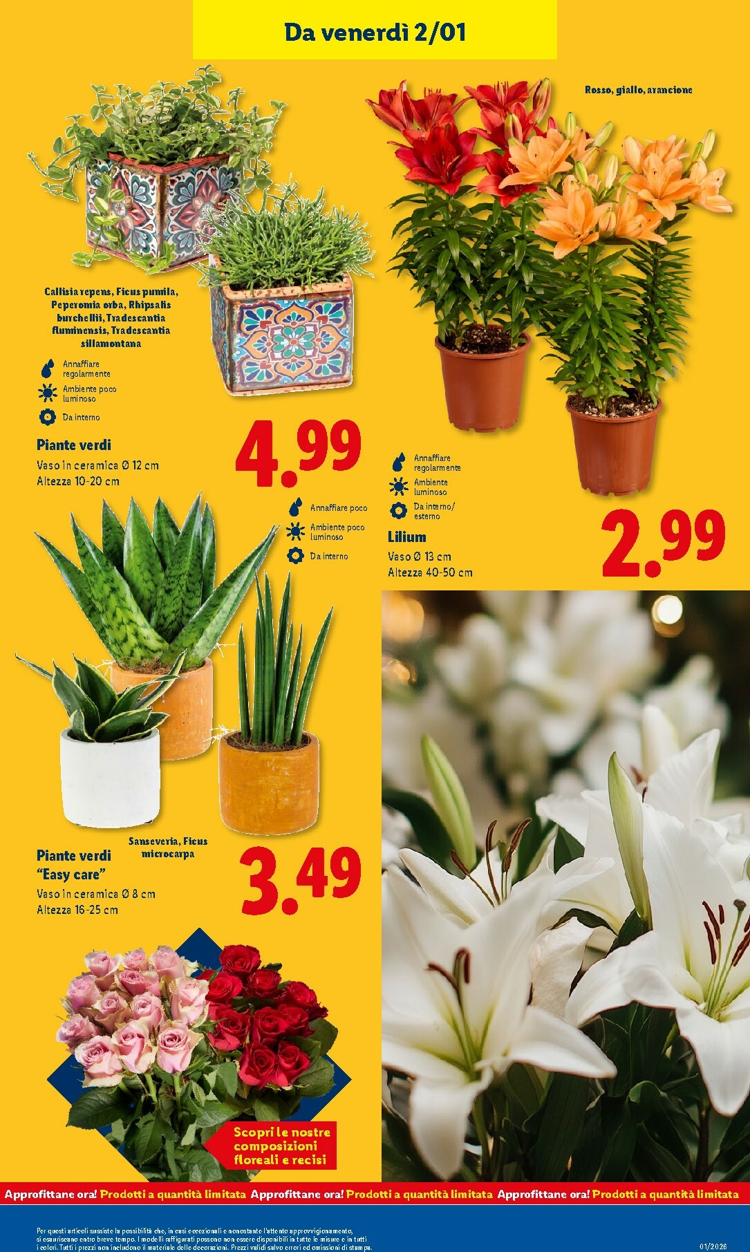 lidl - Volantino Lidl valido dal 29/12 al 04/01 - page: 37