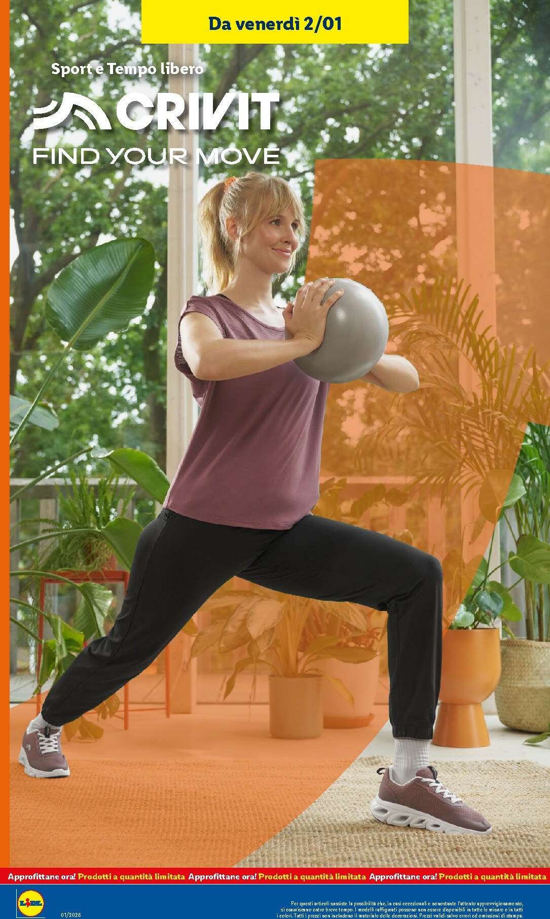 lidl - Volantino Lidl valido dal 29/12 al 04/01 - page: 42