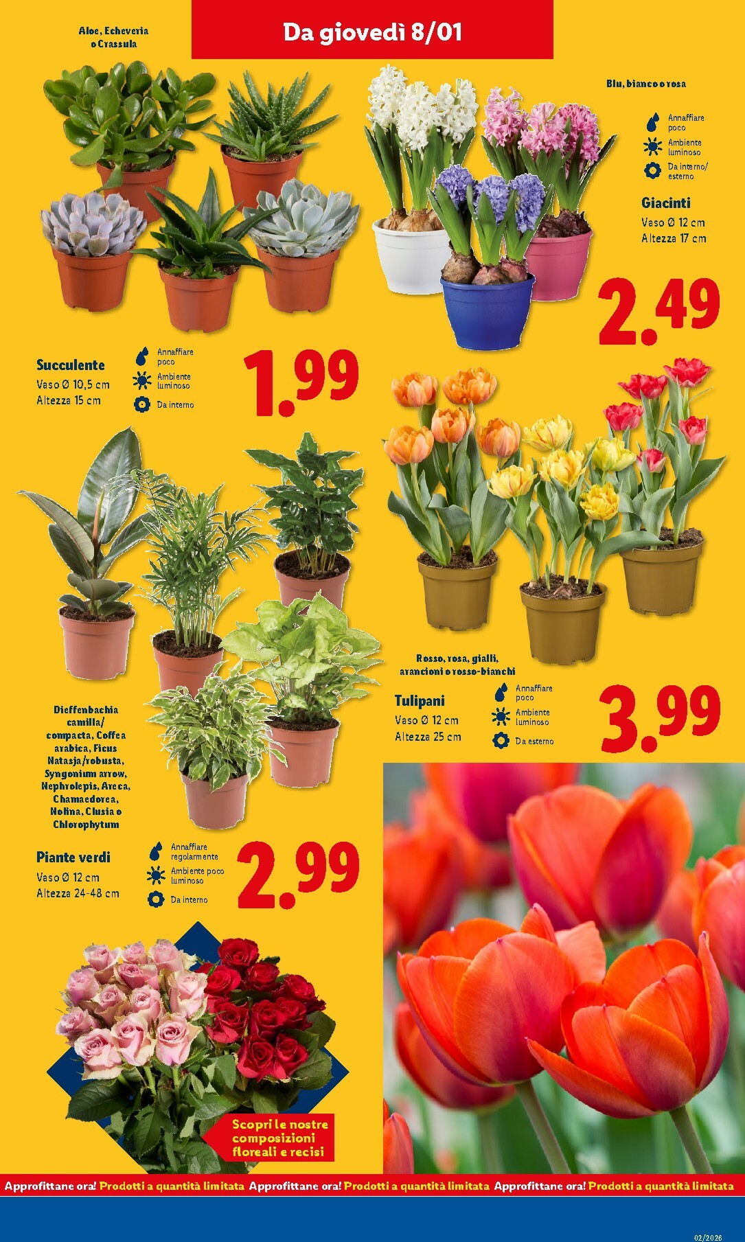 lidl - Volantino Lidl valido dal 05/01 al 11/01 - page: 37