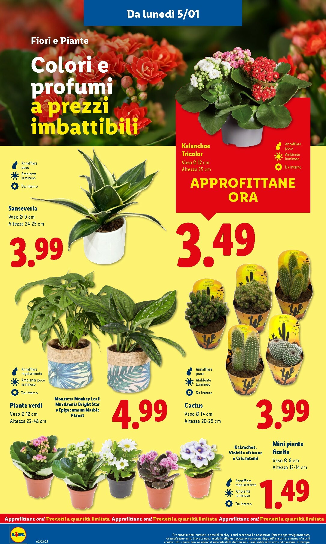 lidl - Volantino Lidl valido dal 05/01 al 11/01 - page: 36