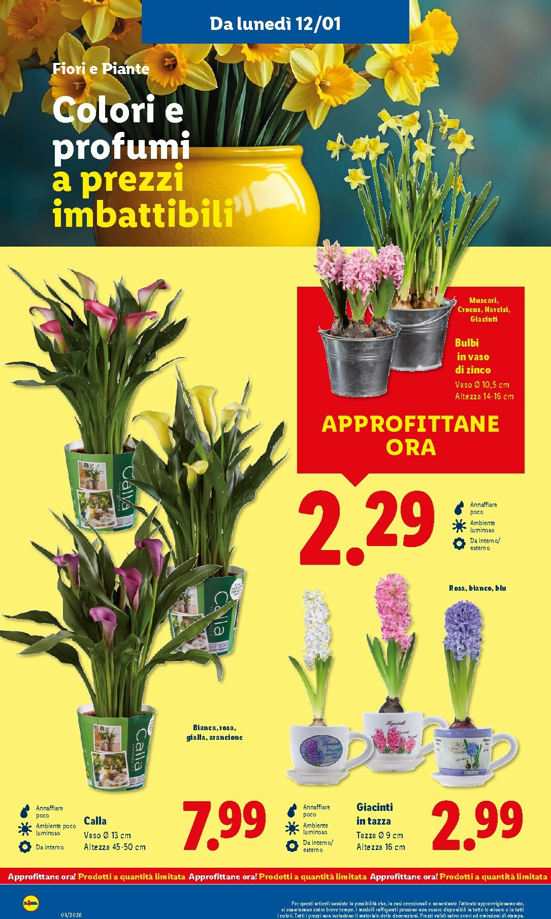 lidl - Volantino Lidl valido dal 12/01 al 18/01 - page: 38