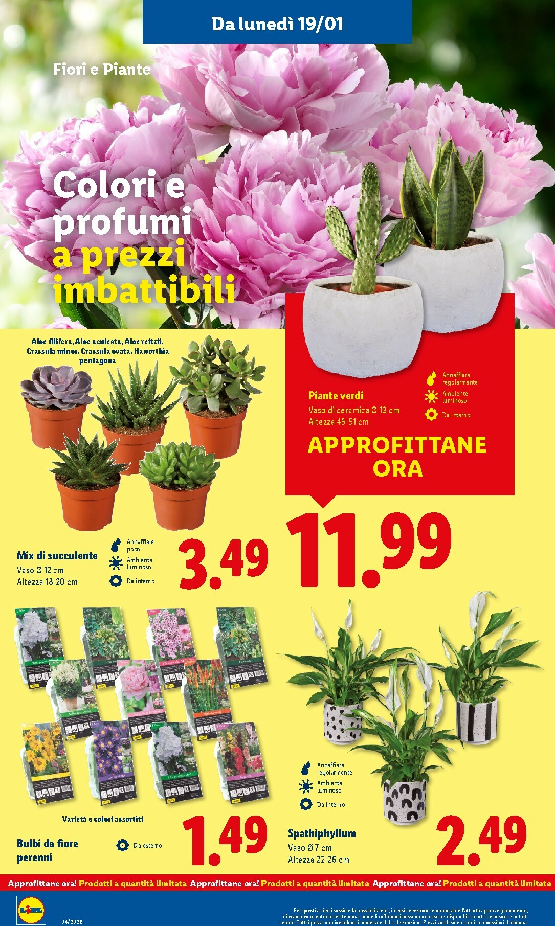 lidl - Volantino Lidl valido dal 19/01 al 25/01 - page: 38