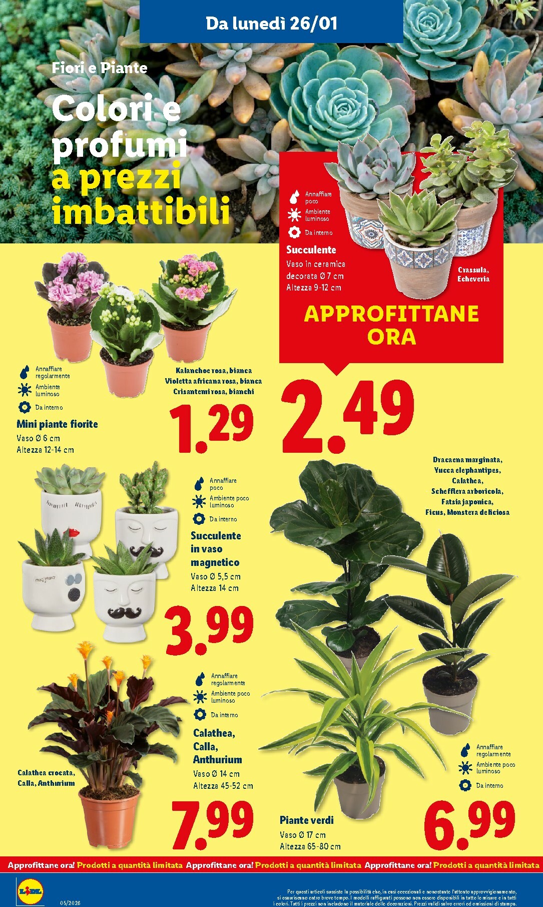 lidl - Volantino Lidl valido dal 26/01 al 01/02 - page: 38