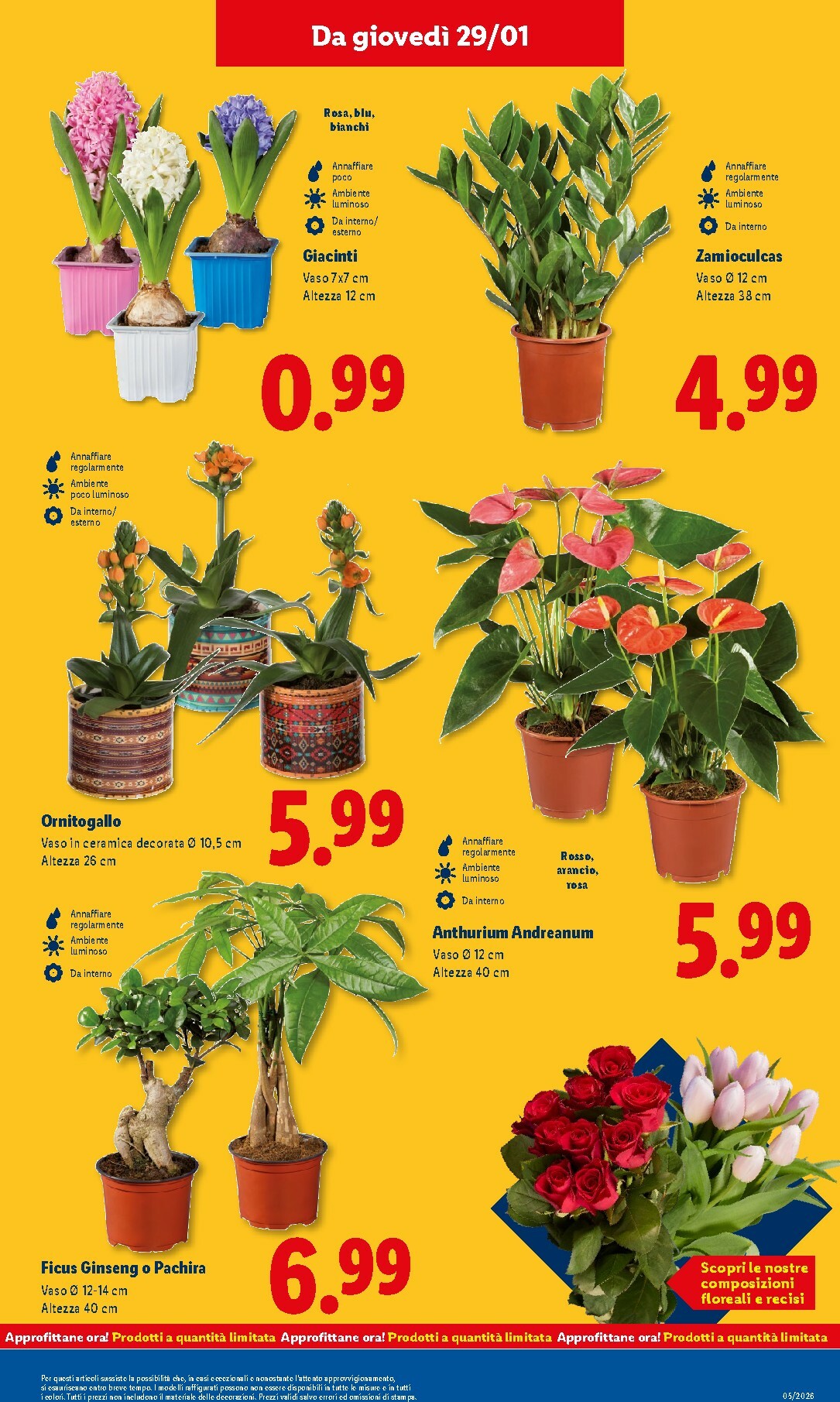 lidl - Volantino Lidl valido dal 26/01 al 01/02 - page: 39