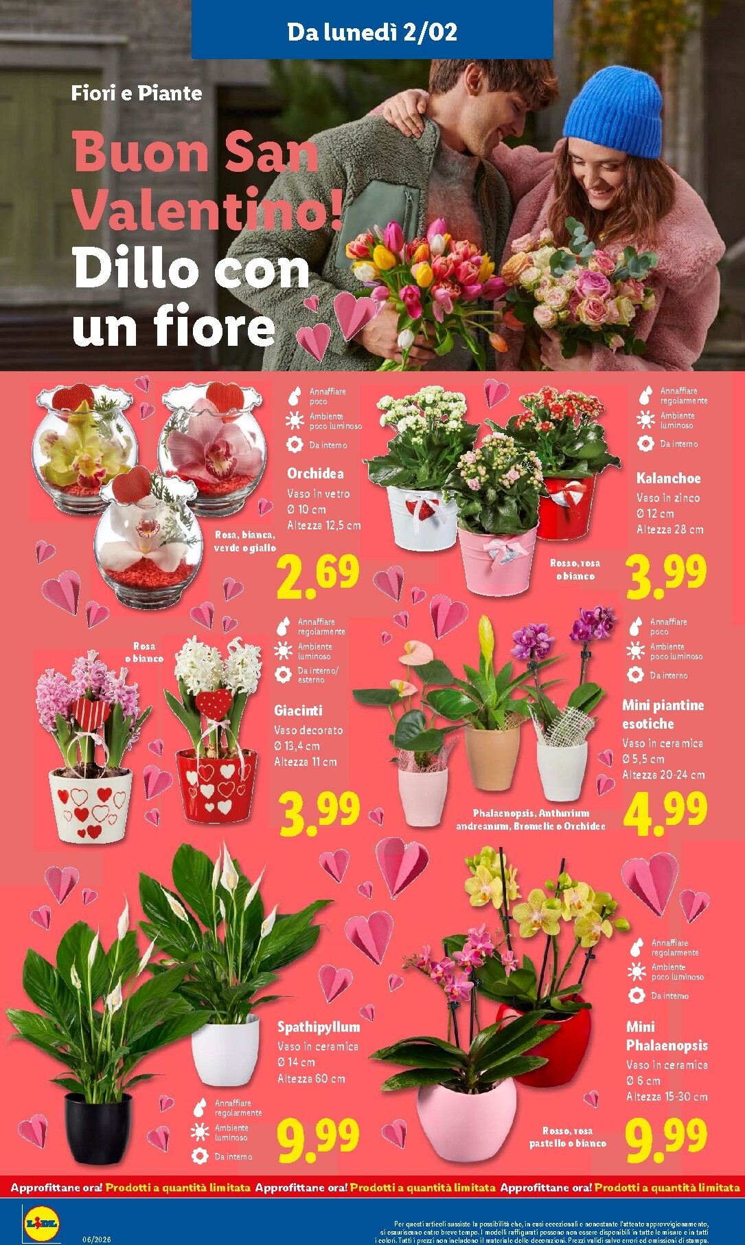 lidl - Volantino Lidl valido dal 02/02 al 08/02 - page: 28