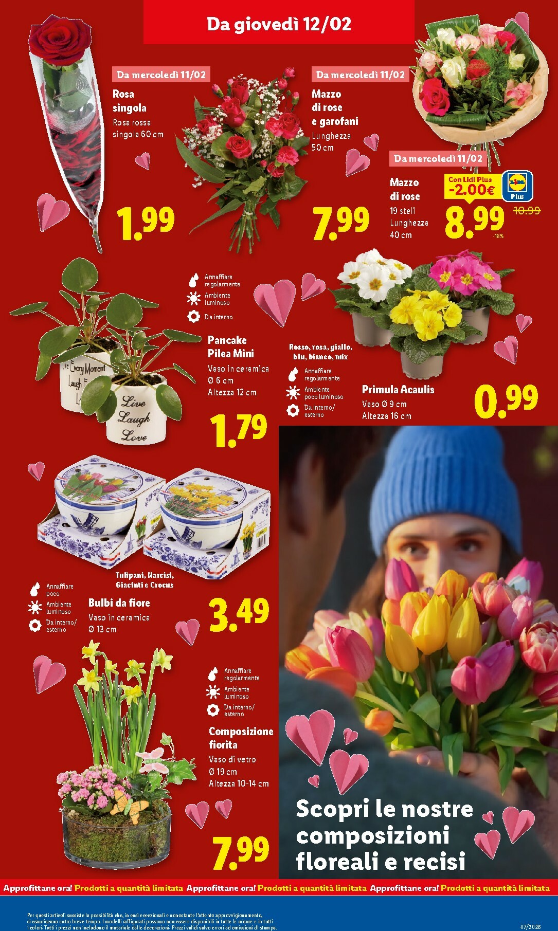 lidl - Volantino Lidl valido dal 09/02/2026 al 15/02/2026 - page: 37