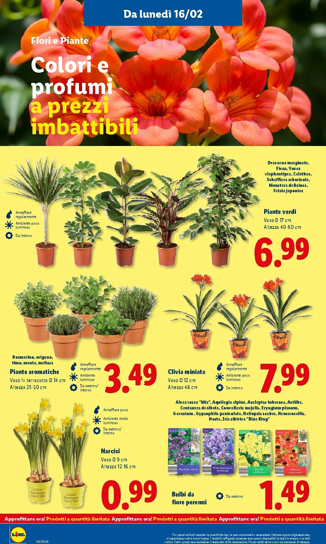 lidl - Volantino Lidl valido dal 16/02/2026 al 22/02/2026 - page: 46