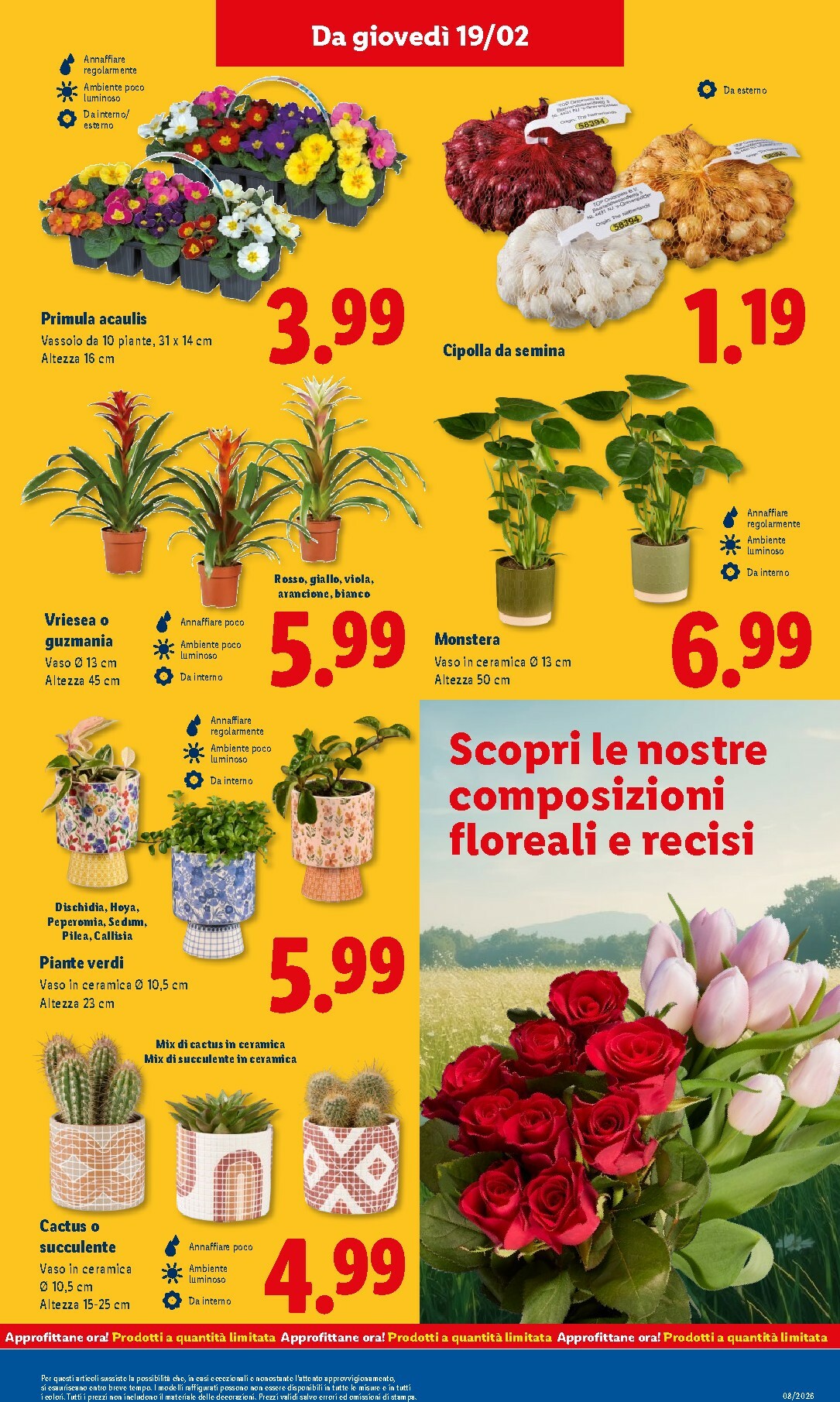 lidl - Volantino Lidl valido dal 16/02/2026 al 22/02/2026 - page: 47