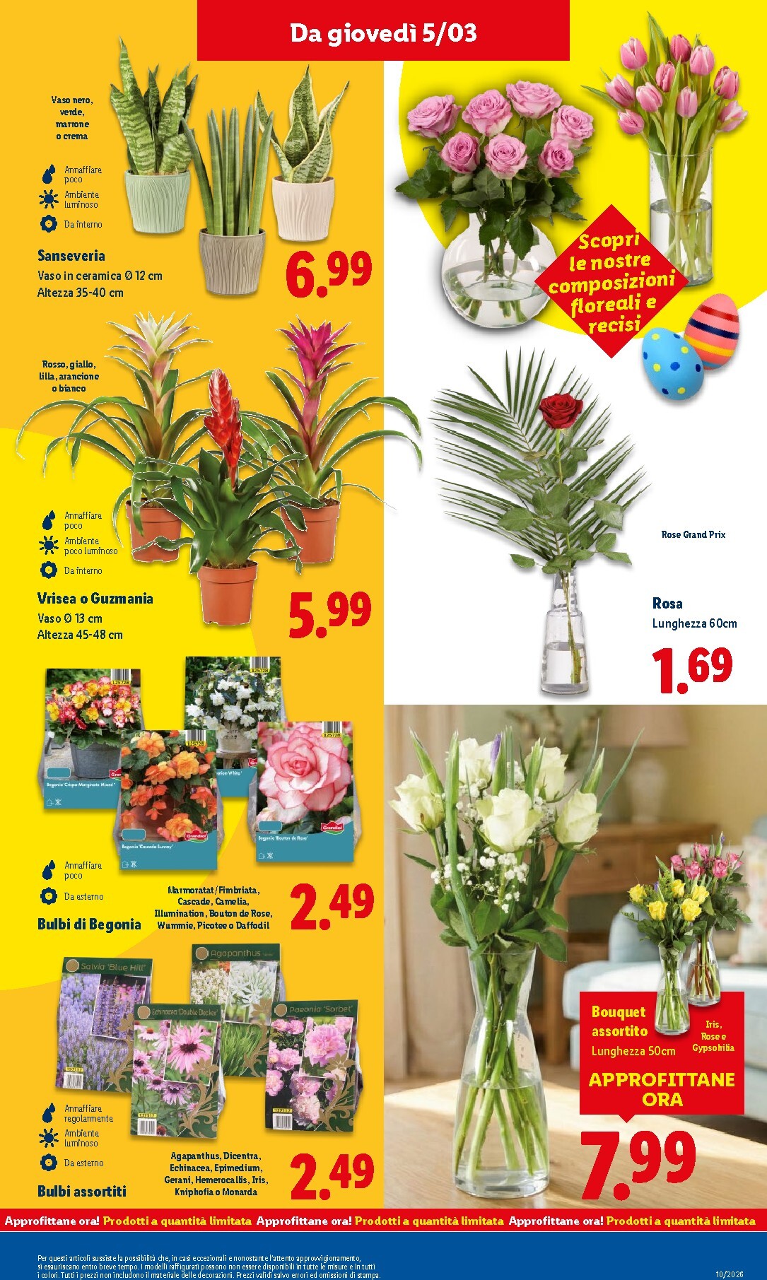 lidl - Volantino Lidl valido dal 02/03/2026 al 08/03/2026 - page: 41