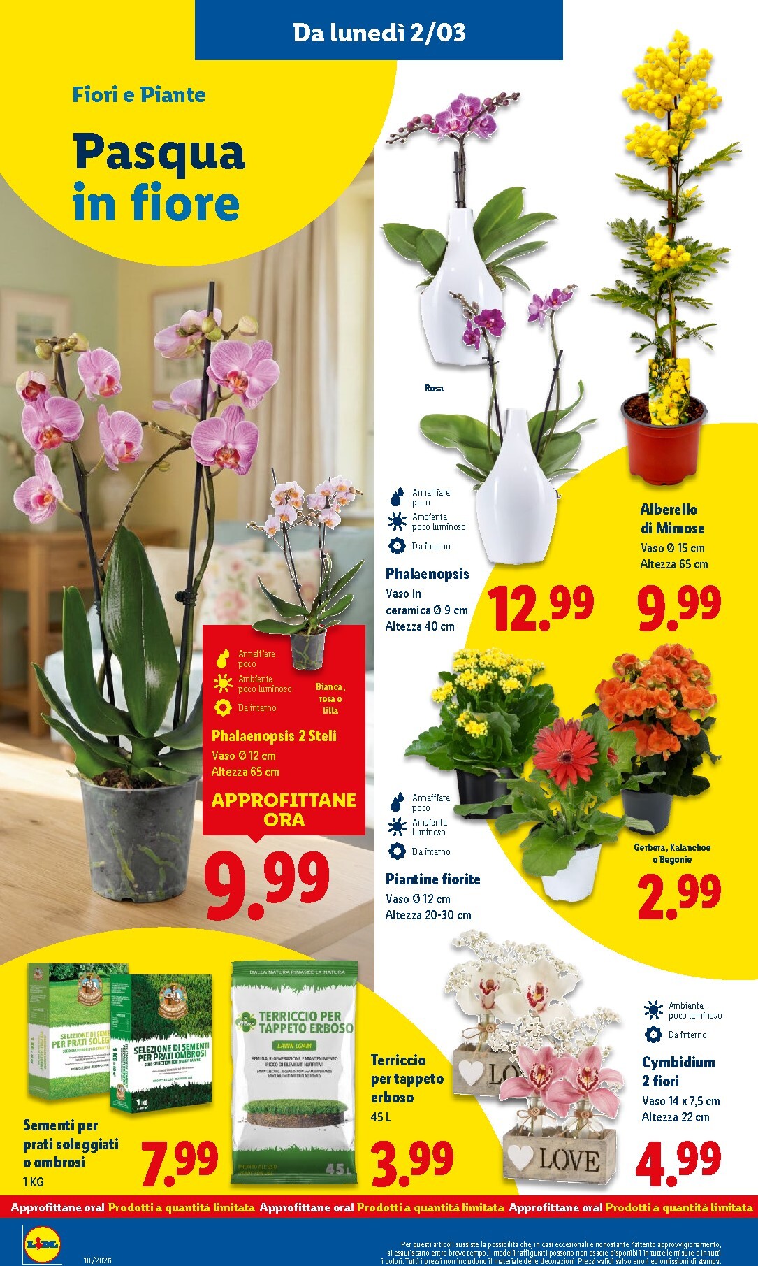 lidl - Volantino Lidl valido dal 02/03/2026 al 08/03/2026 - page: 40