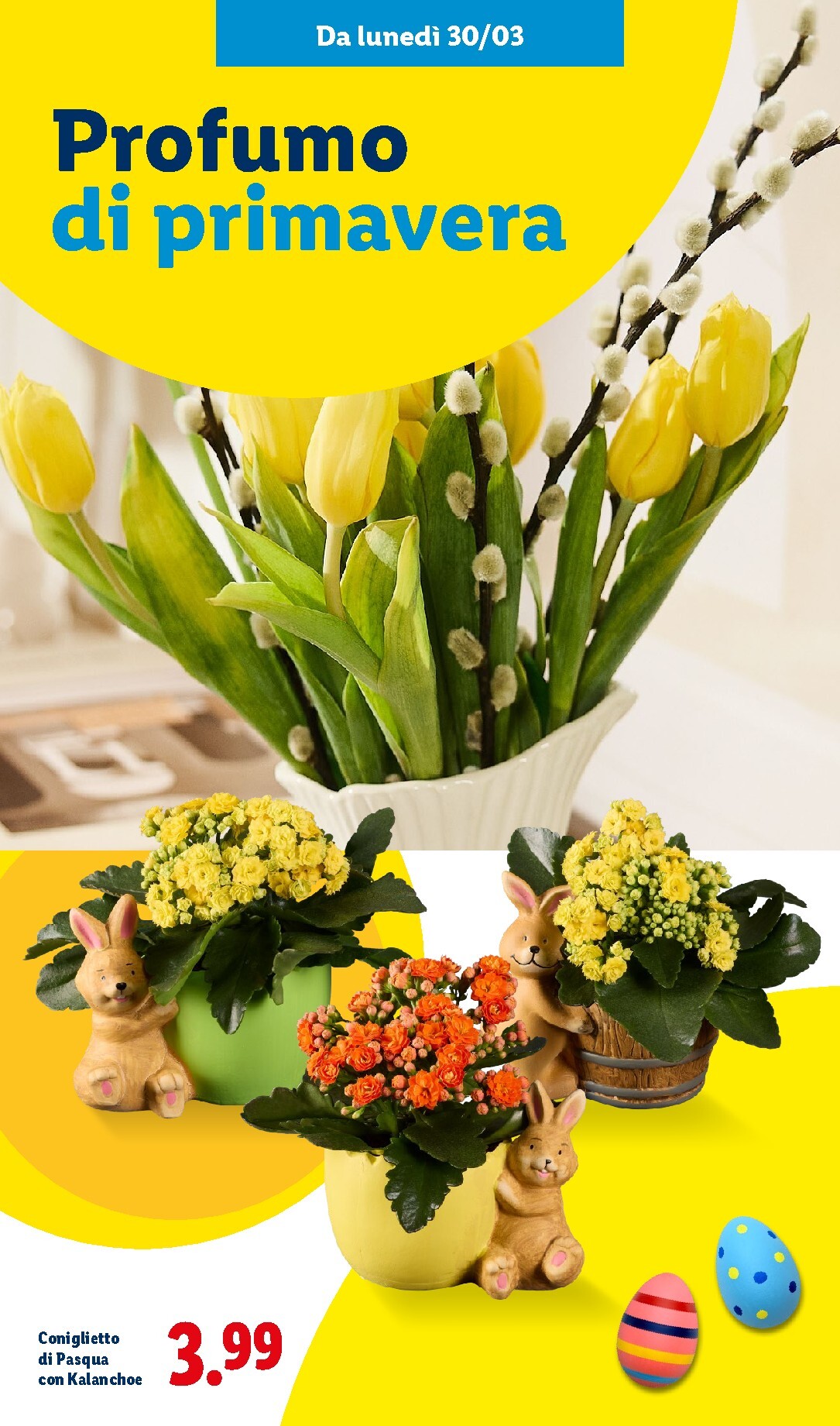 lidl - Volantino Lidl - Vale davvero valido dal 27/02/2026 al 06/04/2026 - page: 45