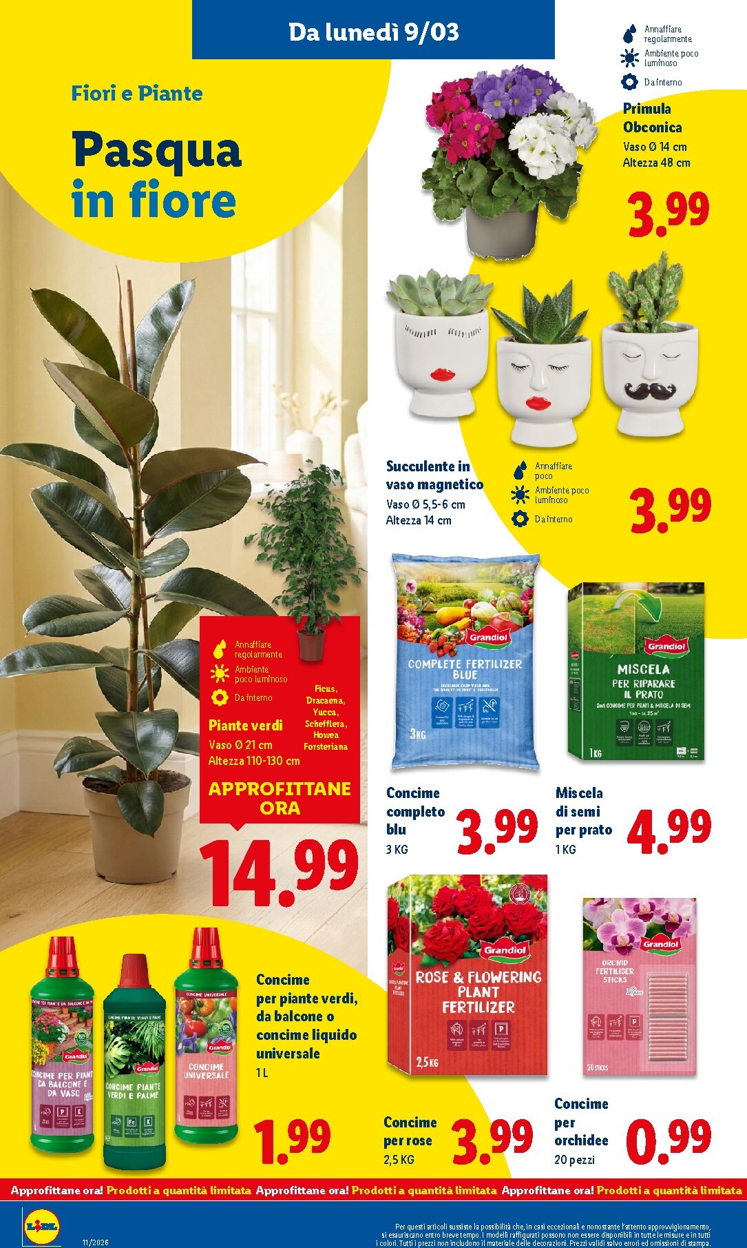 lidl - Volantino Lidl valido dal 09/03/2026 al 15/03/2026 - page: 36