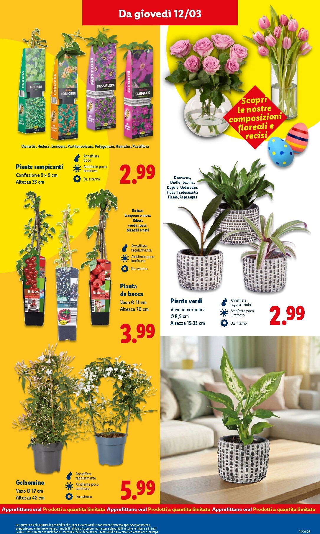 lidl - Volantino Lidl valido dal 09/03/2026 al 15/03/2026 - page: 37