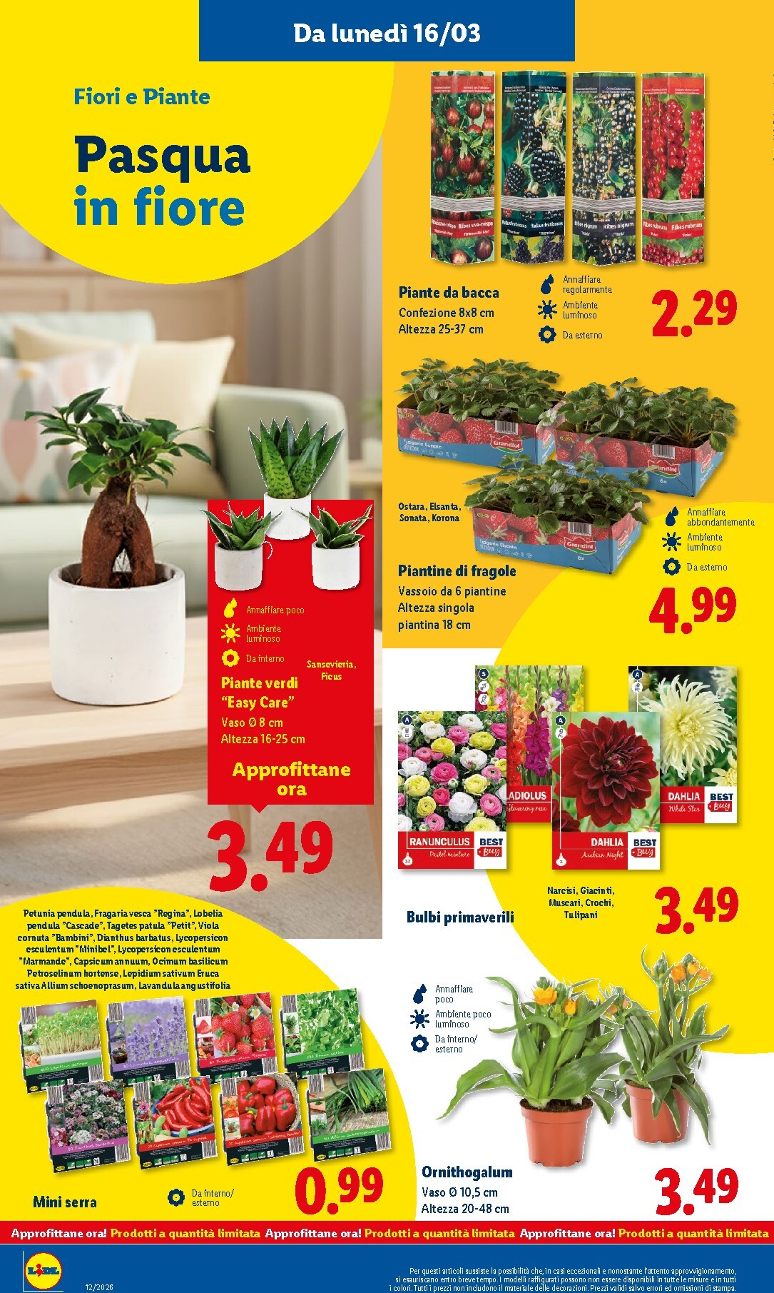 lidl - Volantino Lidl valido dal 16/03/2026 al 22/03/2026 - page: 44