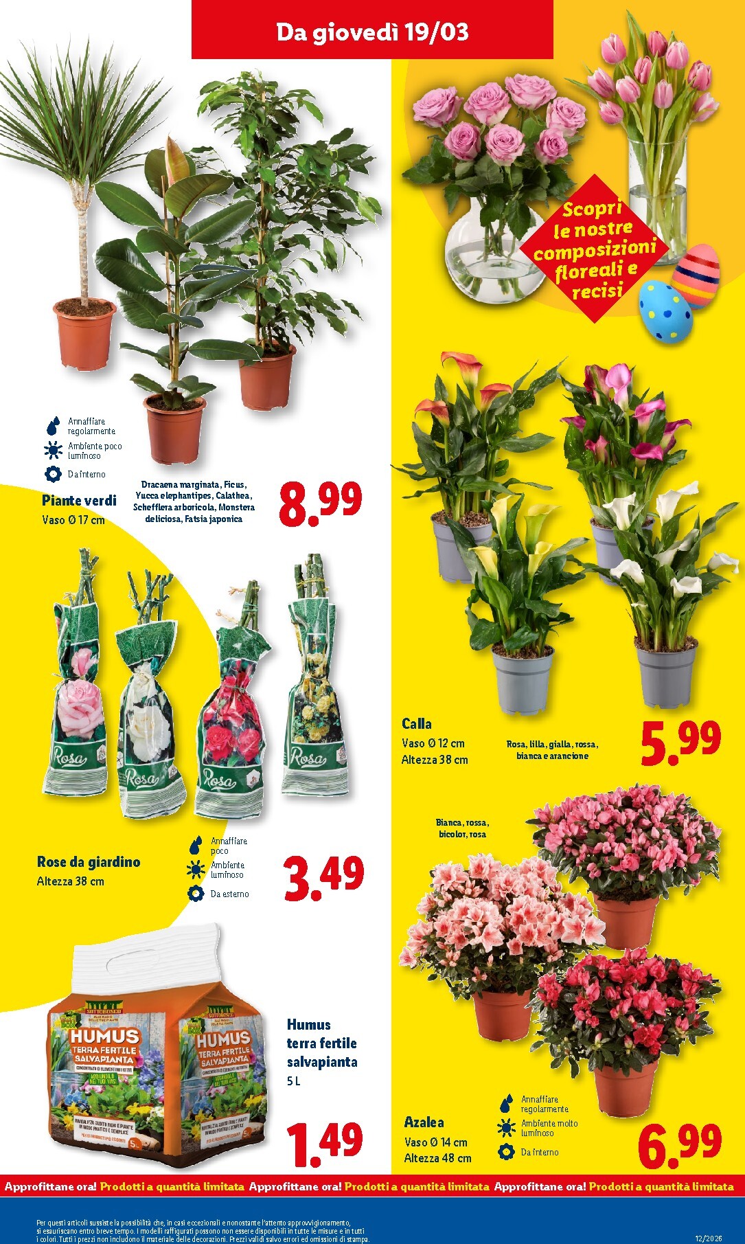 lidl - Volantino Lidl valido dal 16/03/2026 al 22/03/2026 - page: 45