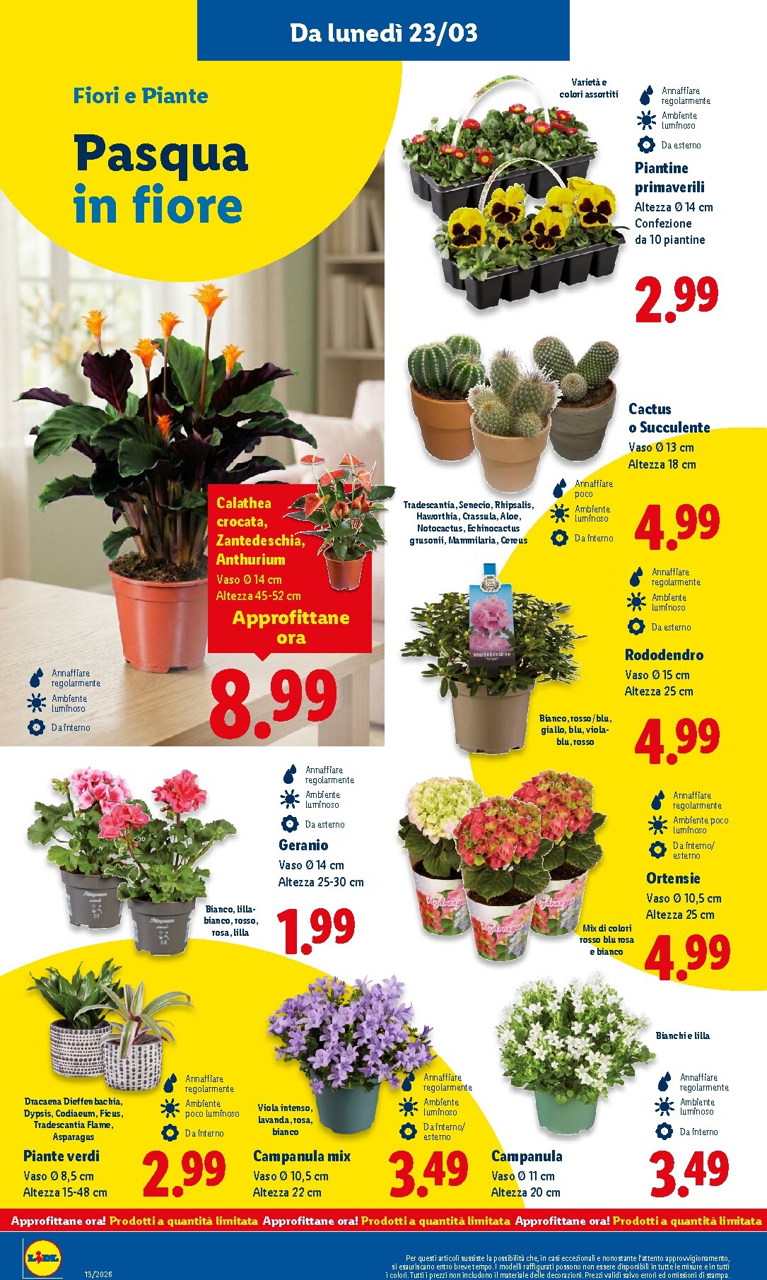 lidl - Volantino Lidl valido dal 23/03/2026 al 29/03/2026 - page: 34