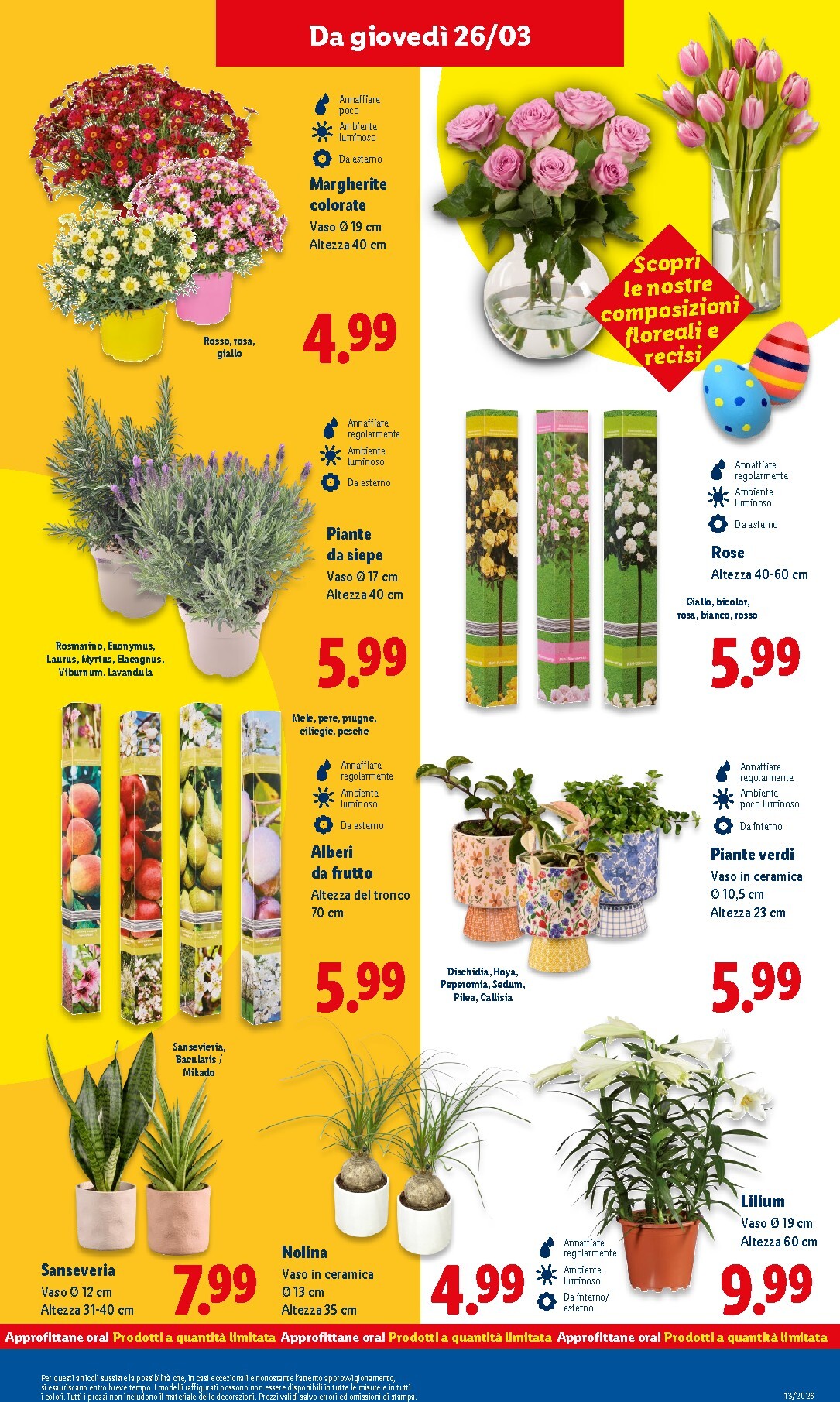 lidl - Volantino Lidl valido dal 23/03/2026 al 29/03/2026 - page: 35