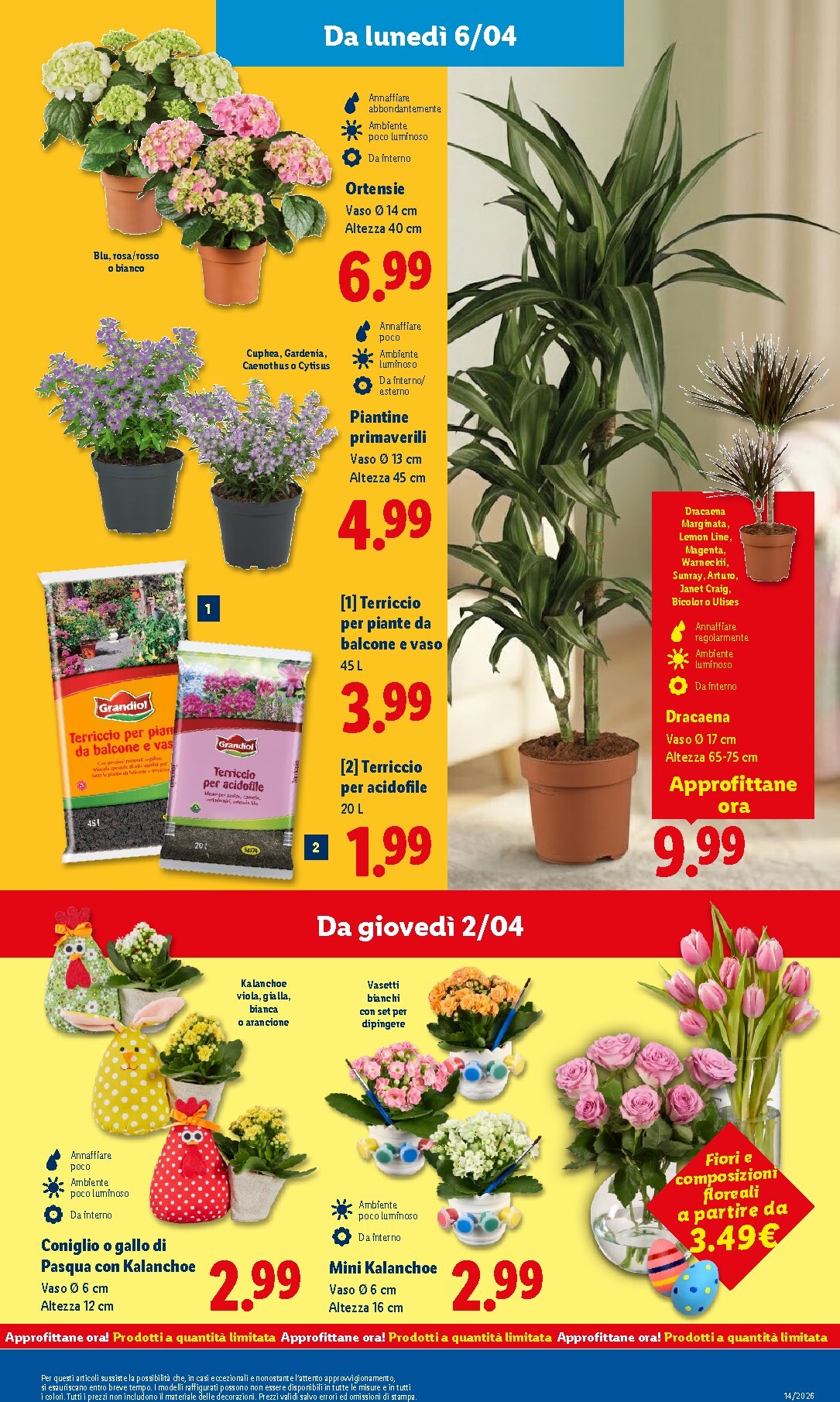 lidl - Volantino Lidl valido dal 30/03/2026 al 08/04/2026 - page: 51