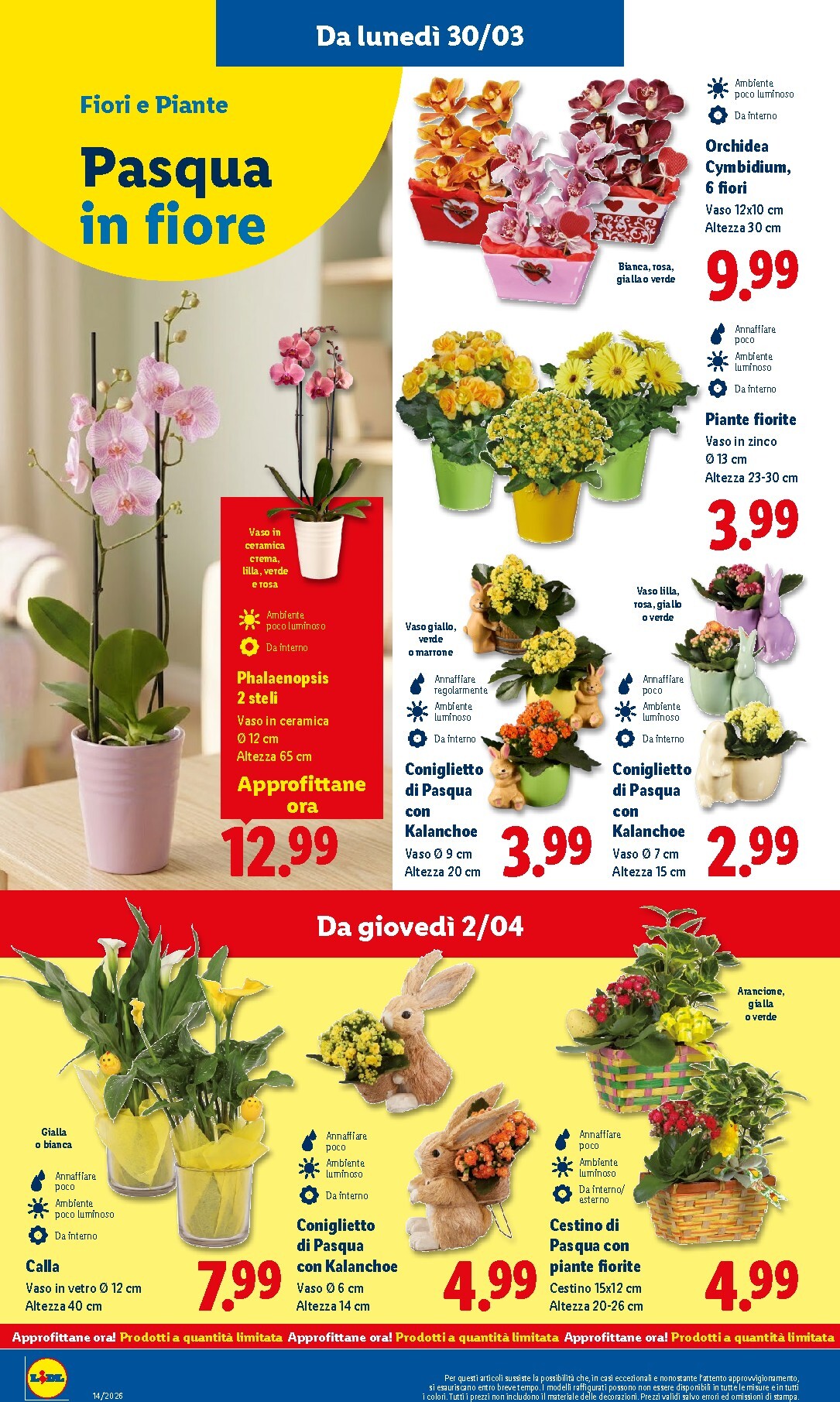 lidl - Volantino Lidl valido dal 30/03/2026 al 08/04/2026 - page: 50